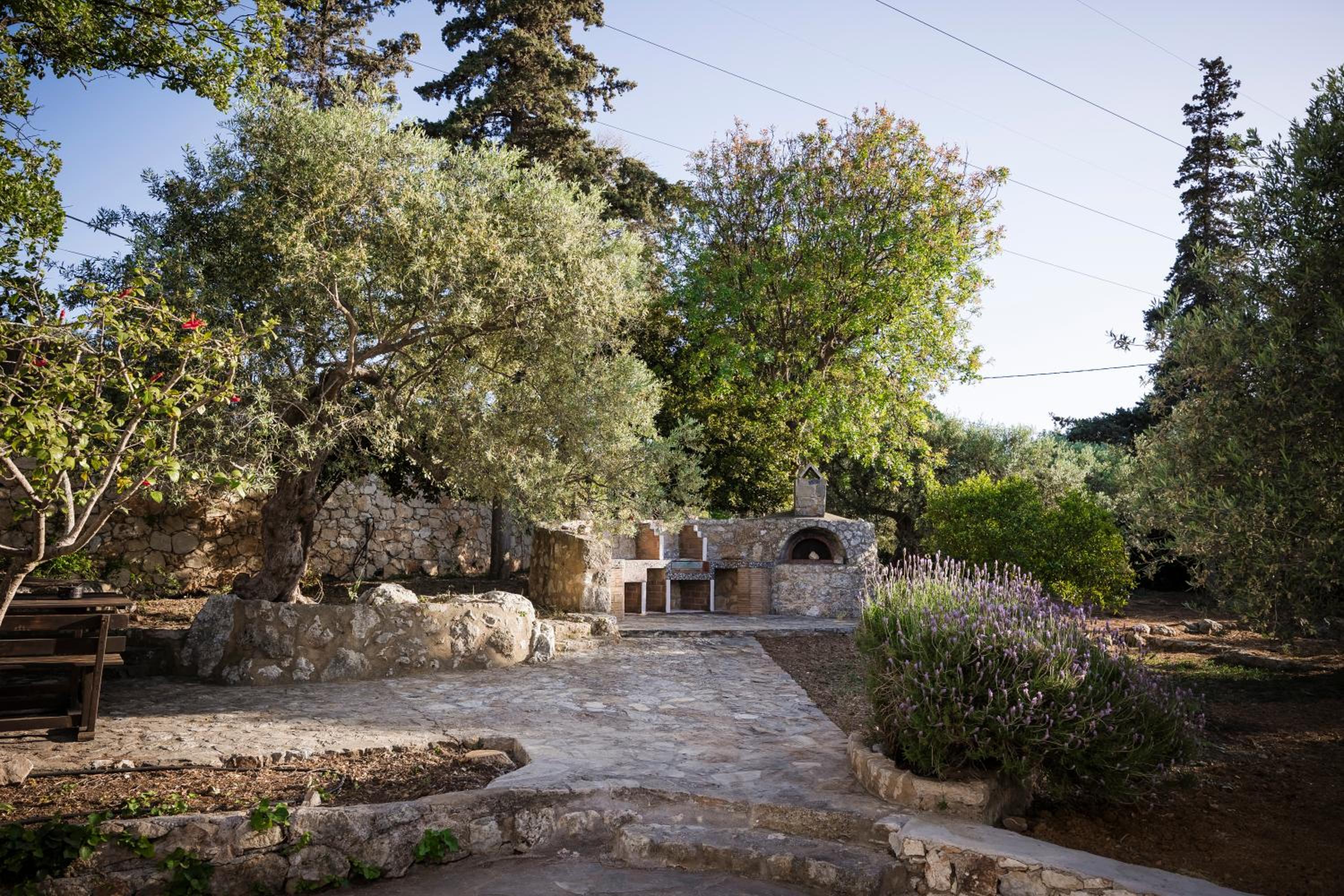Photo 21