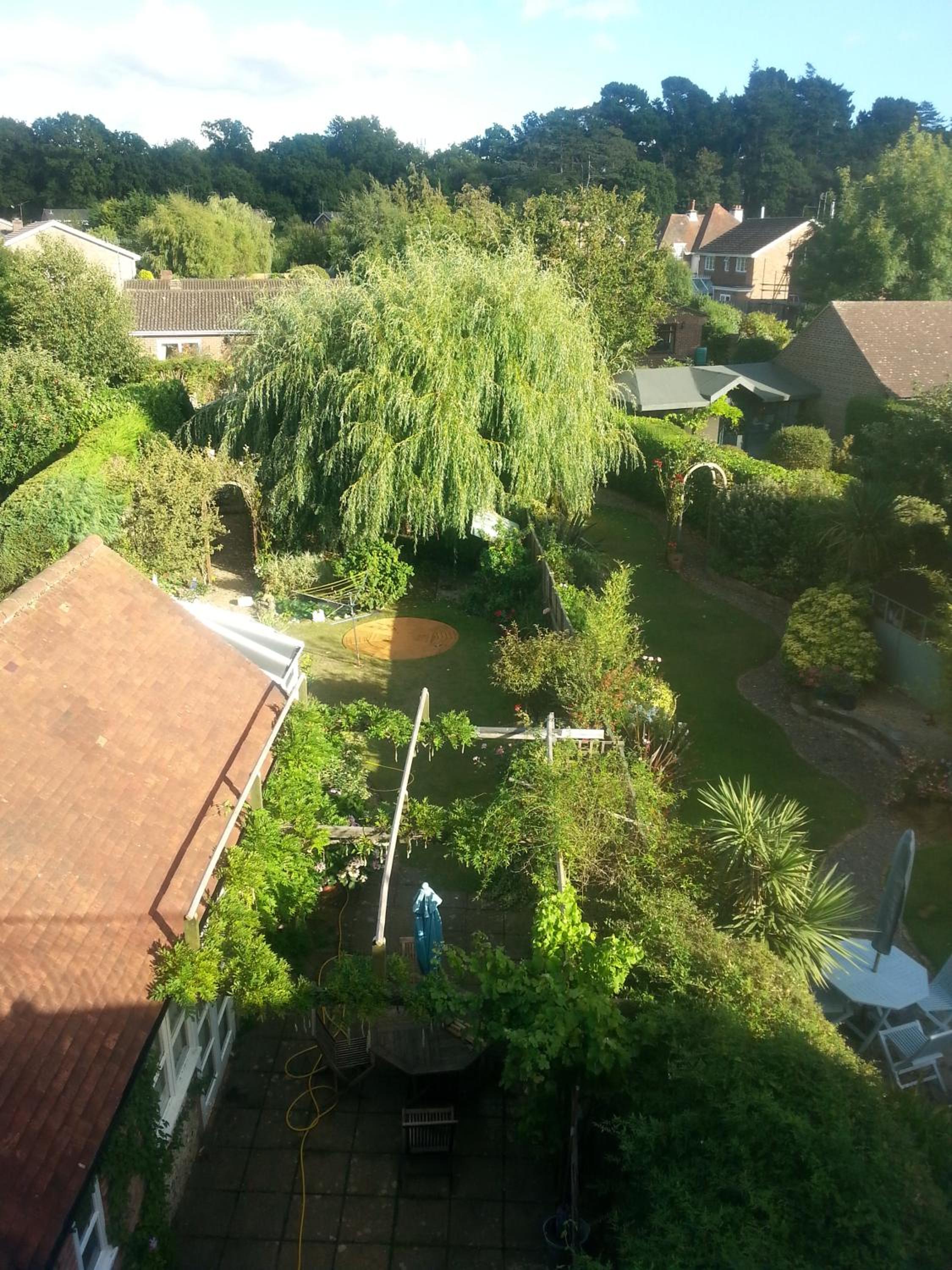 Photo 9