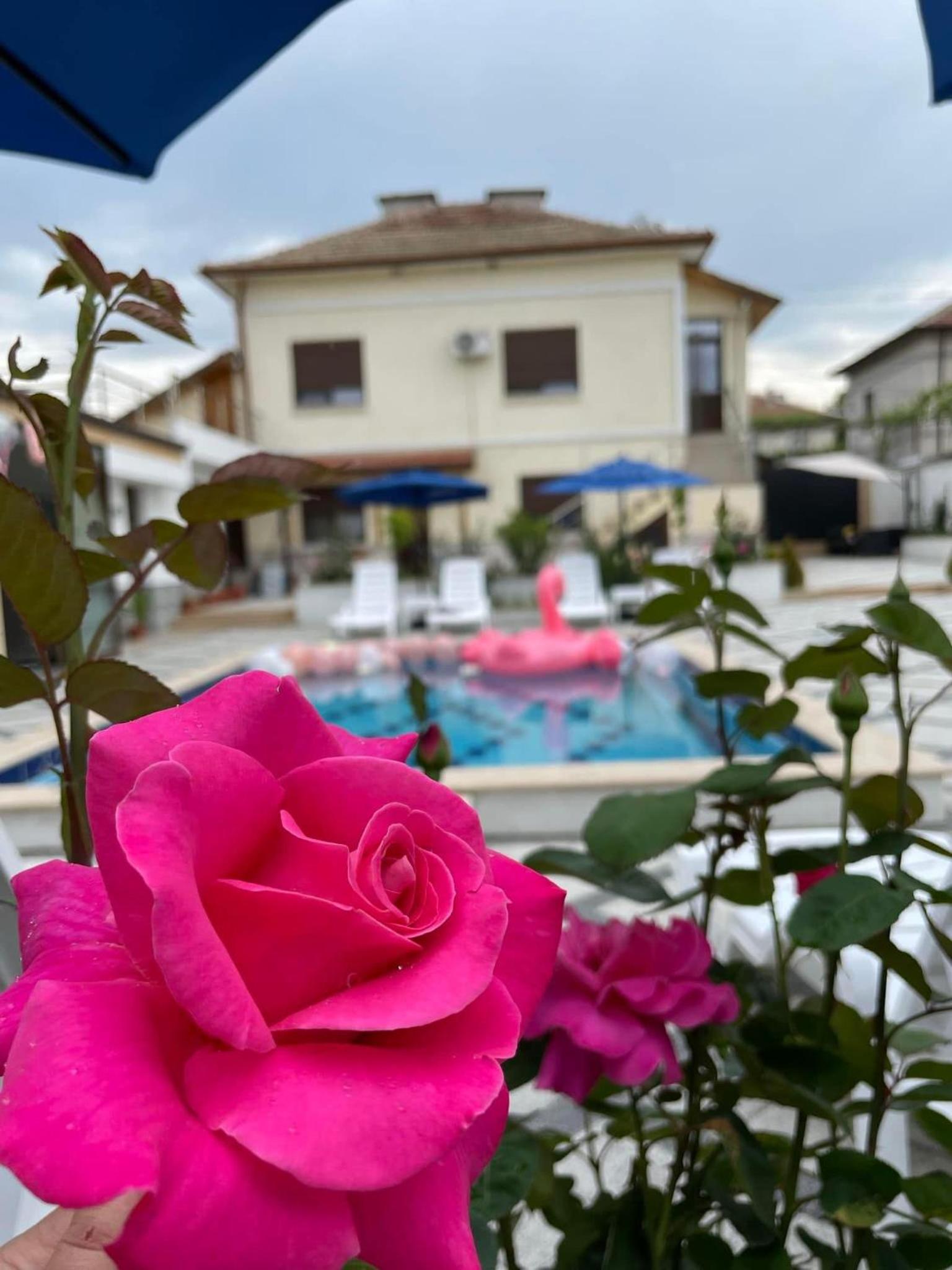 Boris House 5 bed Villa & Private Pool