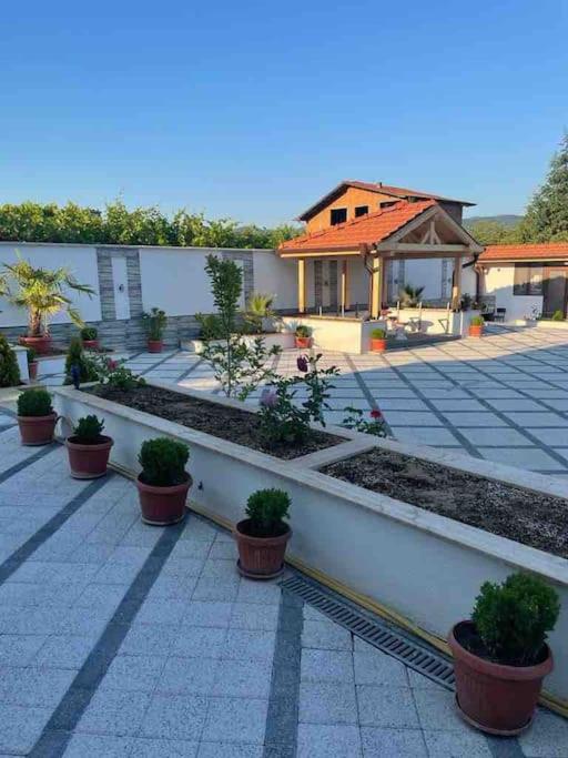 Boris House 5 bed Villa & Private Pool
