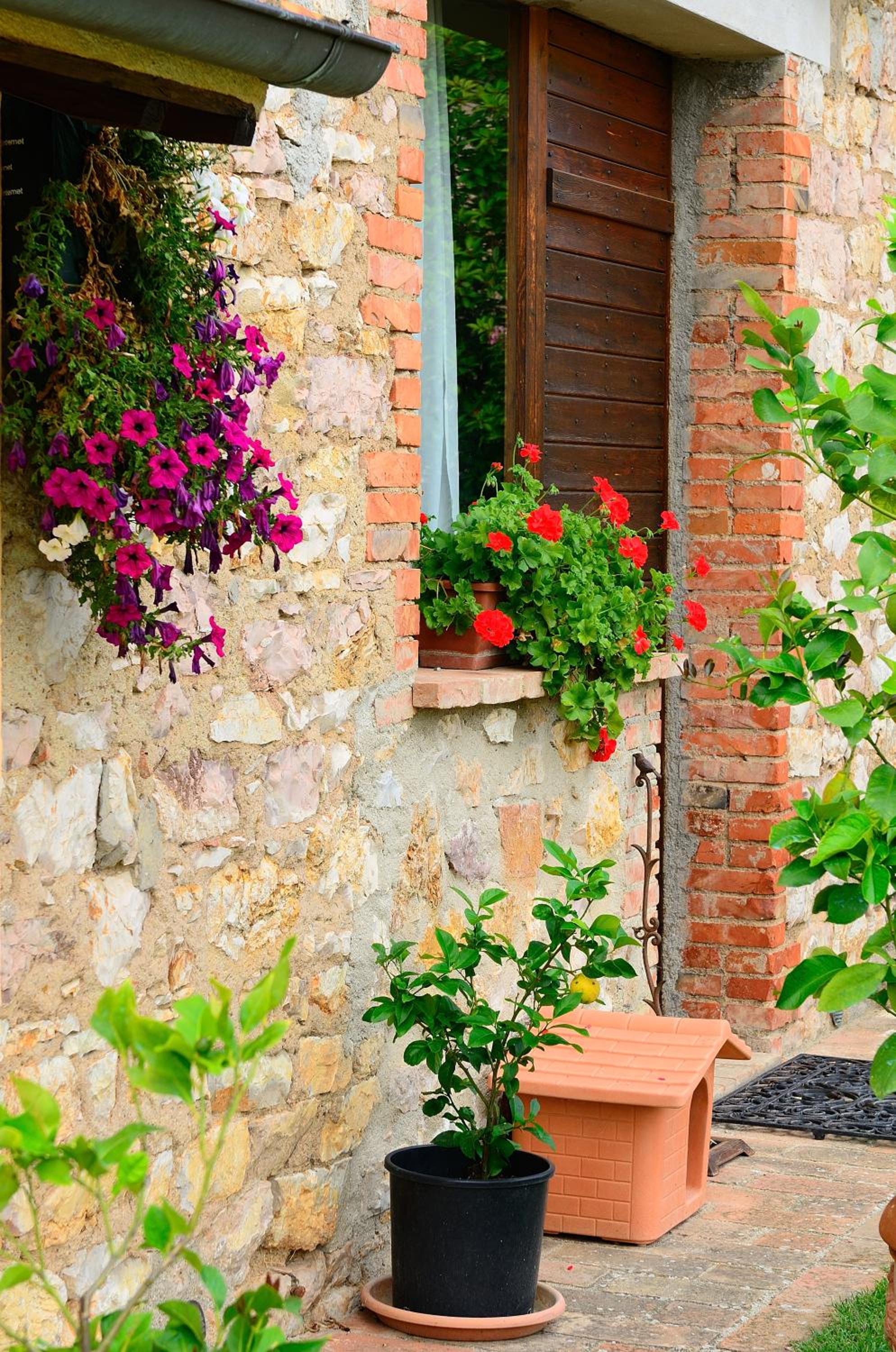 Borgo Mandoleto - Country Resort & Spa