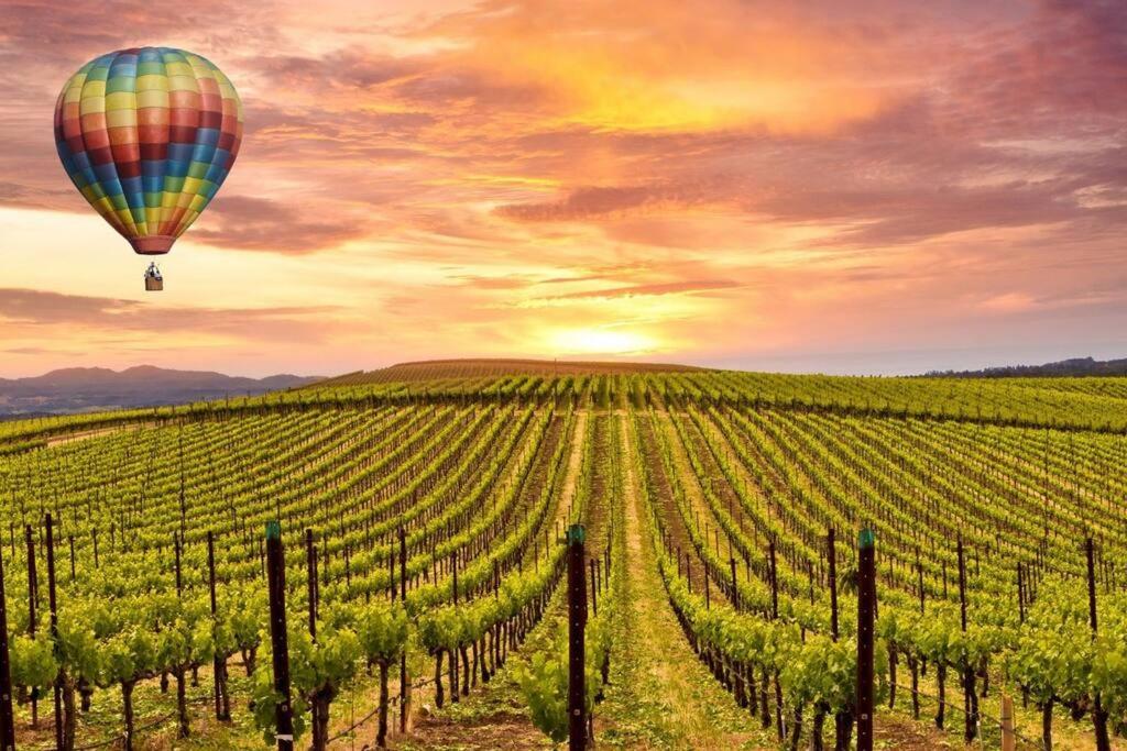 Dream in Napa