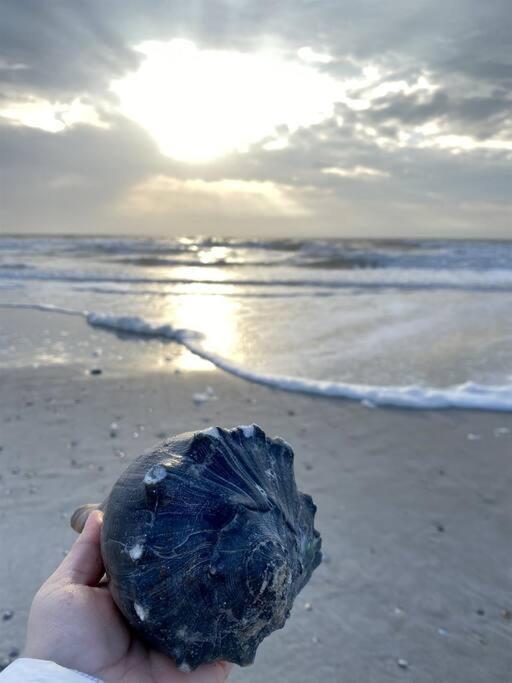 Lil'TipSea on Topsail - Close to the sound and beach! view 4