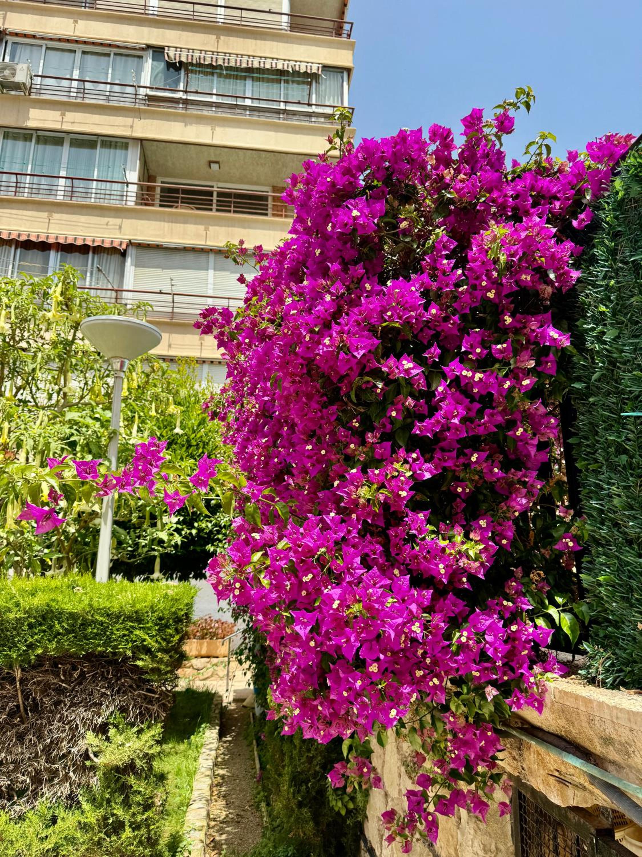 Apartament piscis en Benidorm, 1 min playa levante, Wi-Fi, AC y parking