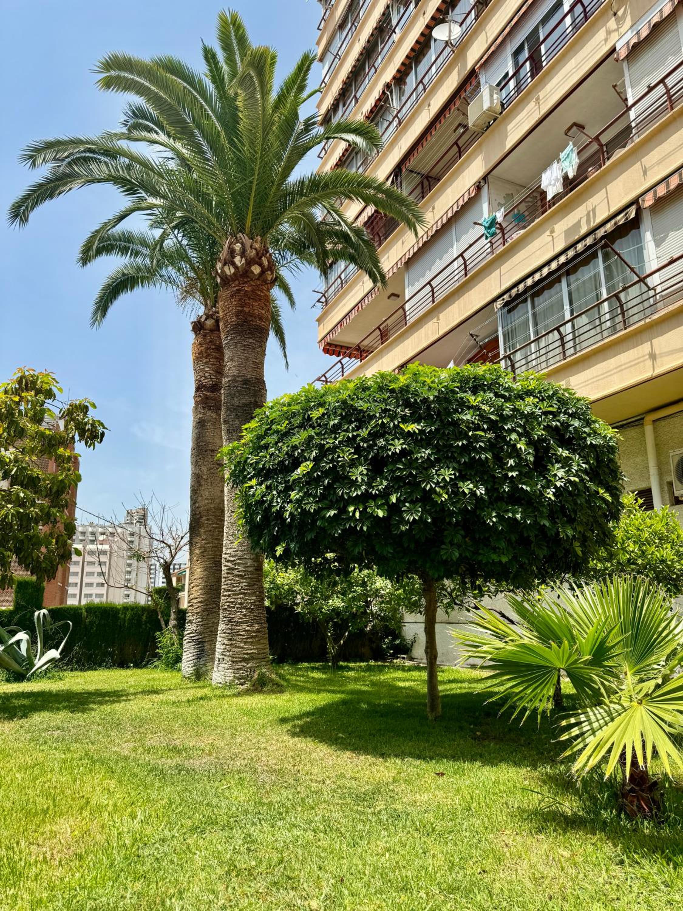 Apartament piscis en Benidorm, 1 min playa levante, Wi-Fi, AC y parking