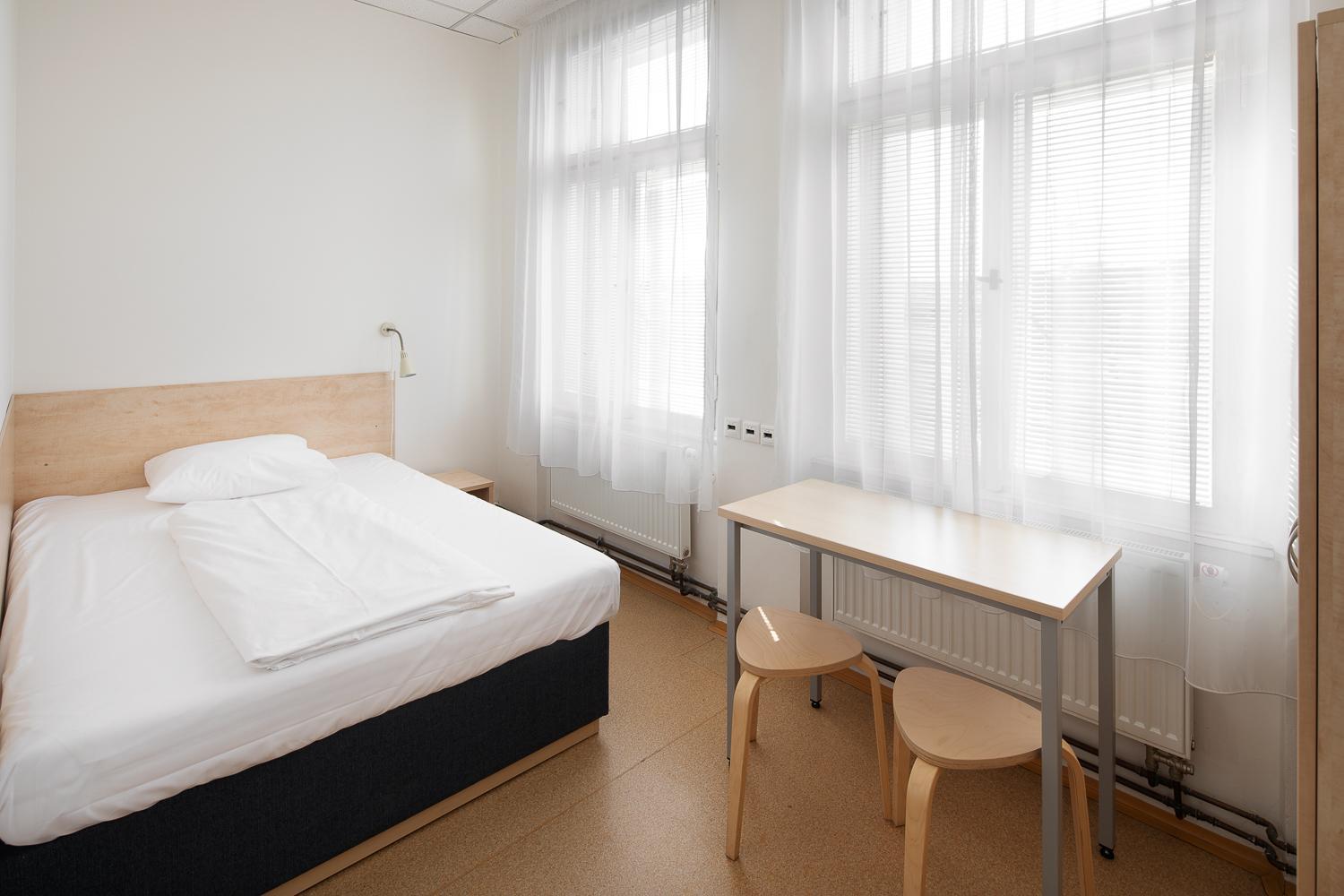 Drunken Monkey Hostel