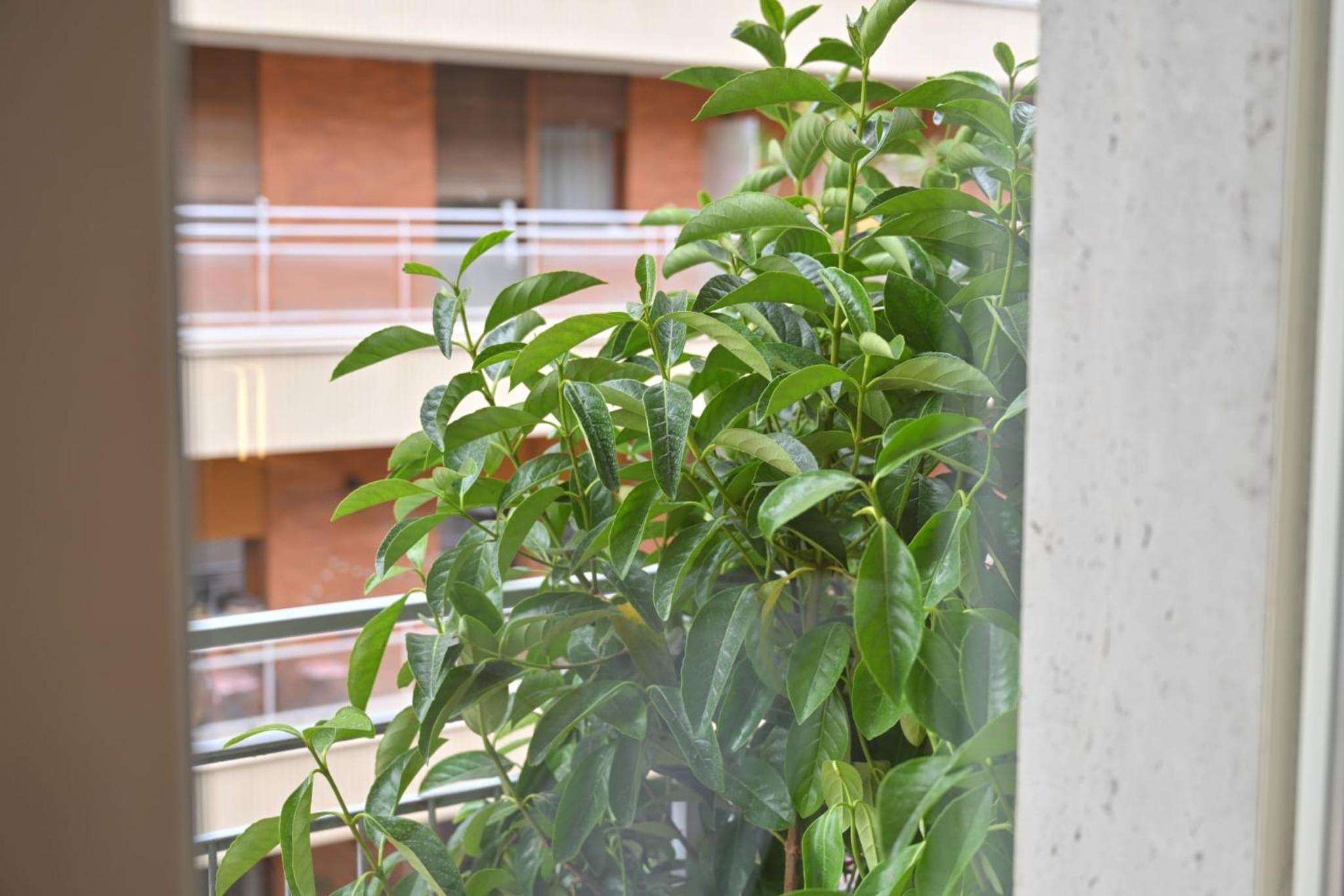 Ponte di Tappia Suites