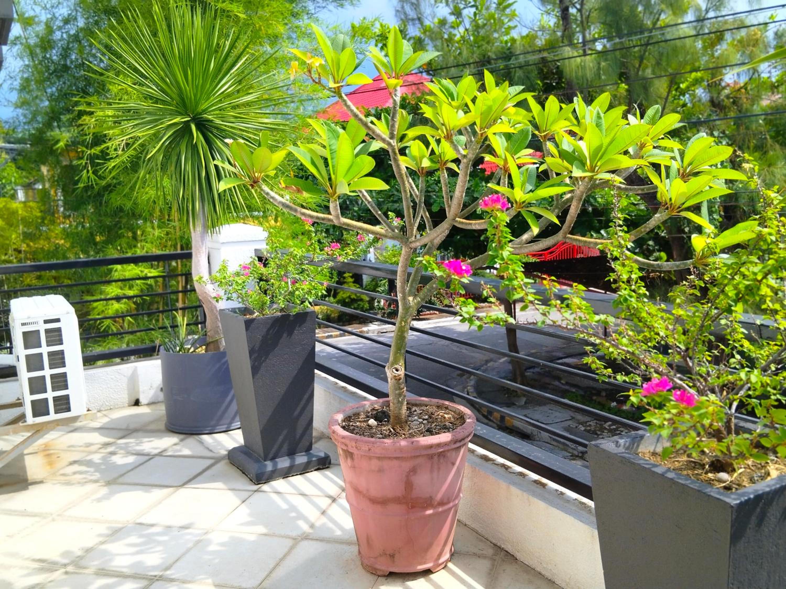 Photo 44