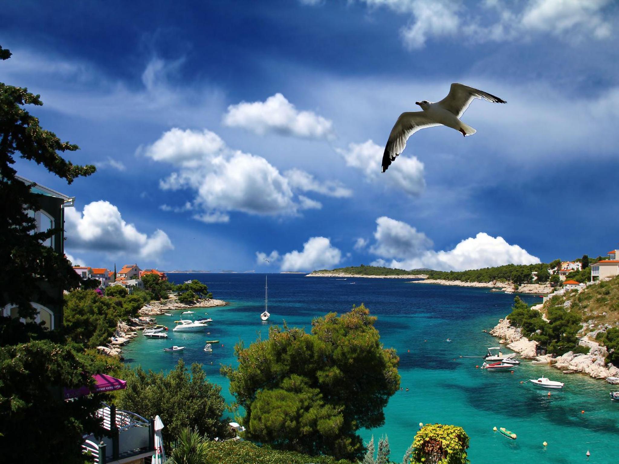 Vila Bilo view 4