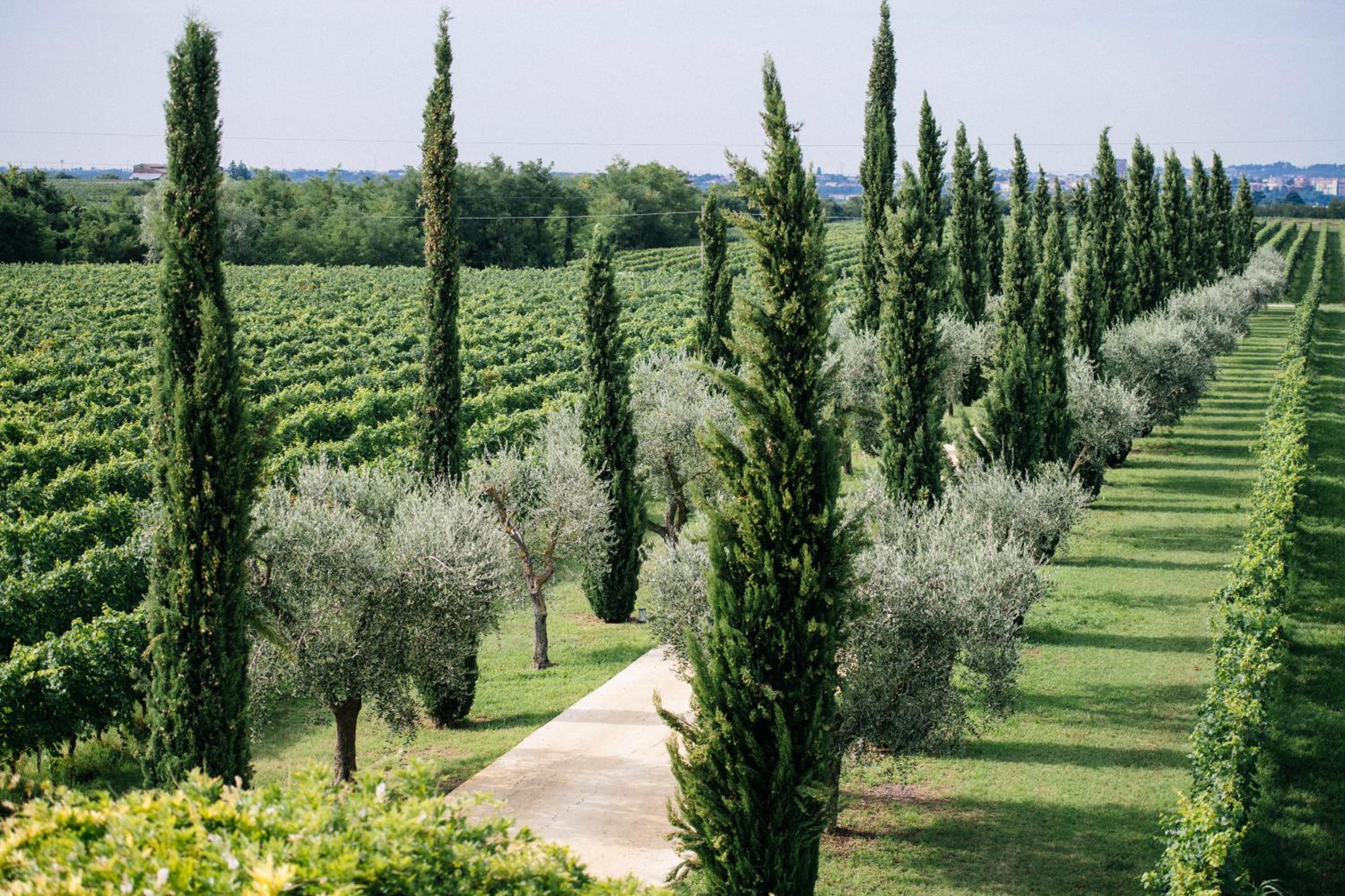 Dimora Buglioni Wine Relais, photo 26