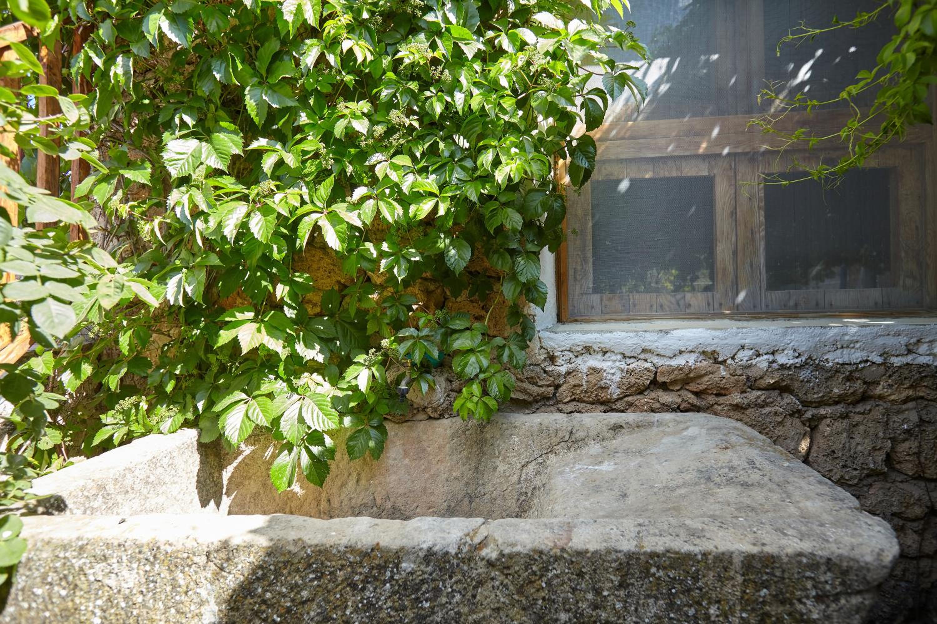 Cortijo el Soto