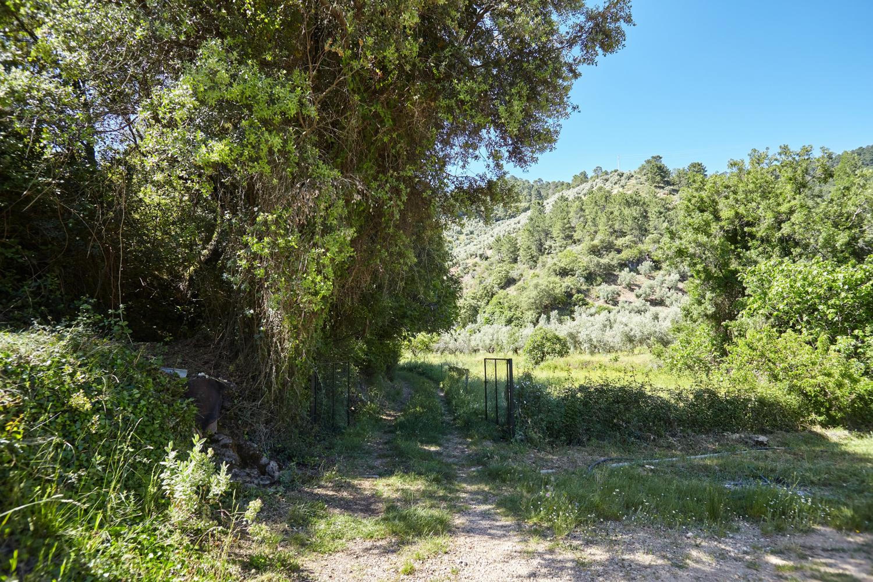 Cortijo el Soto