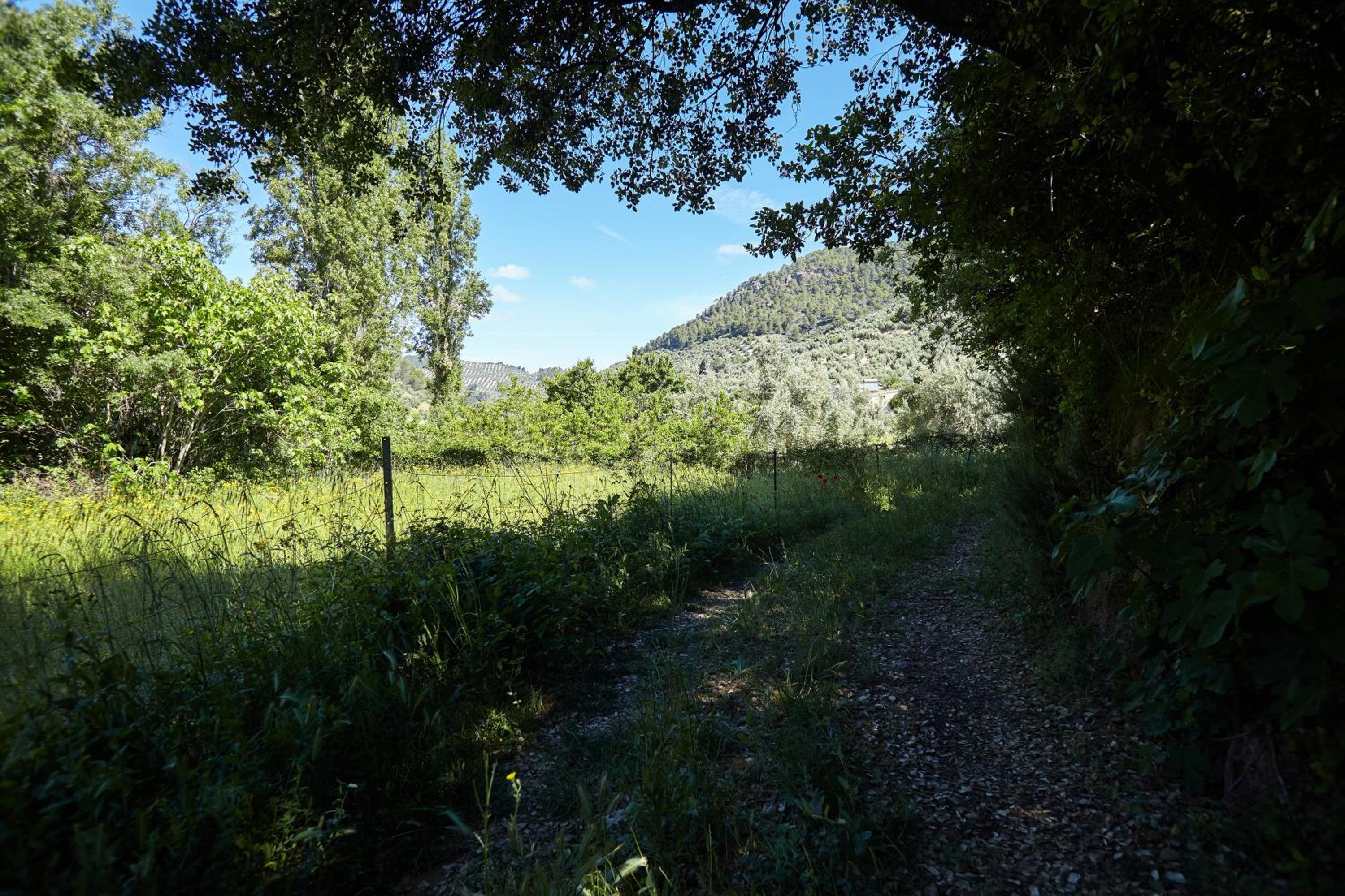 Cortijo el Soto