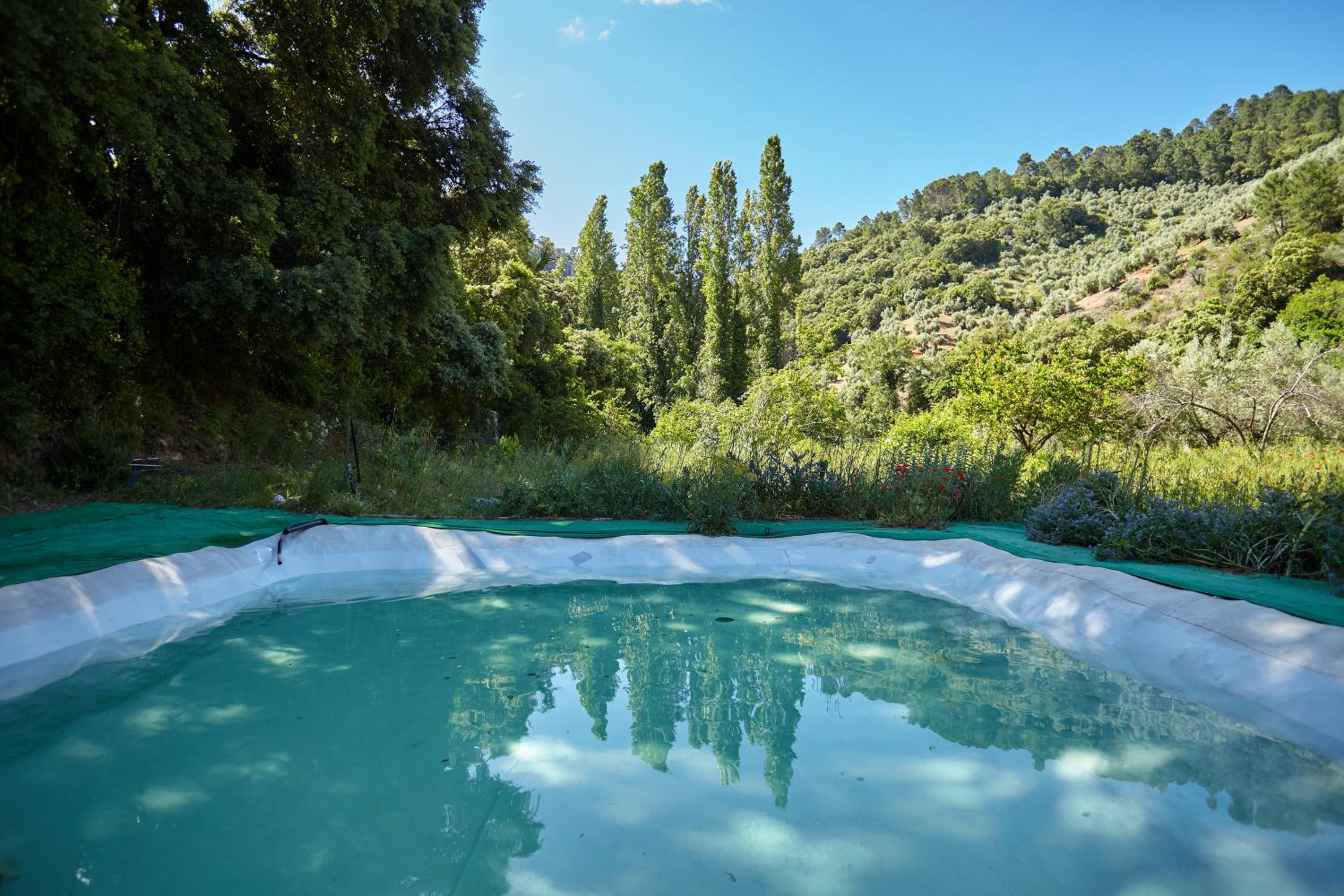 Cortijo el Soto