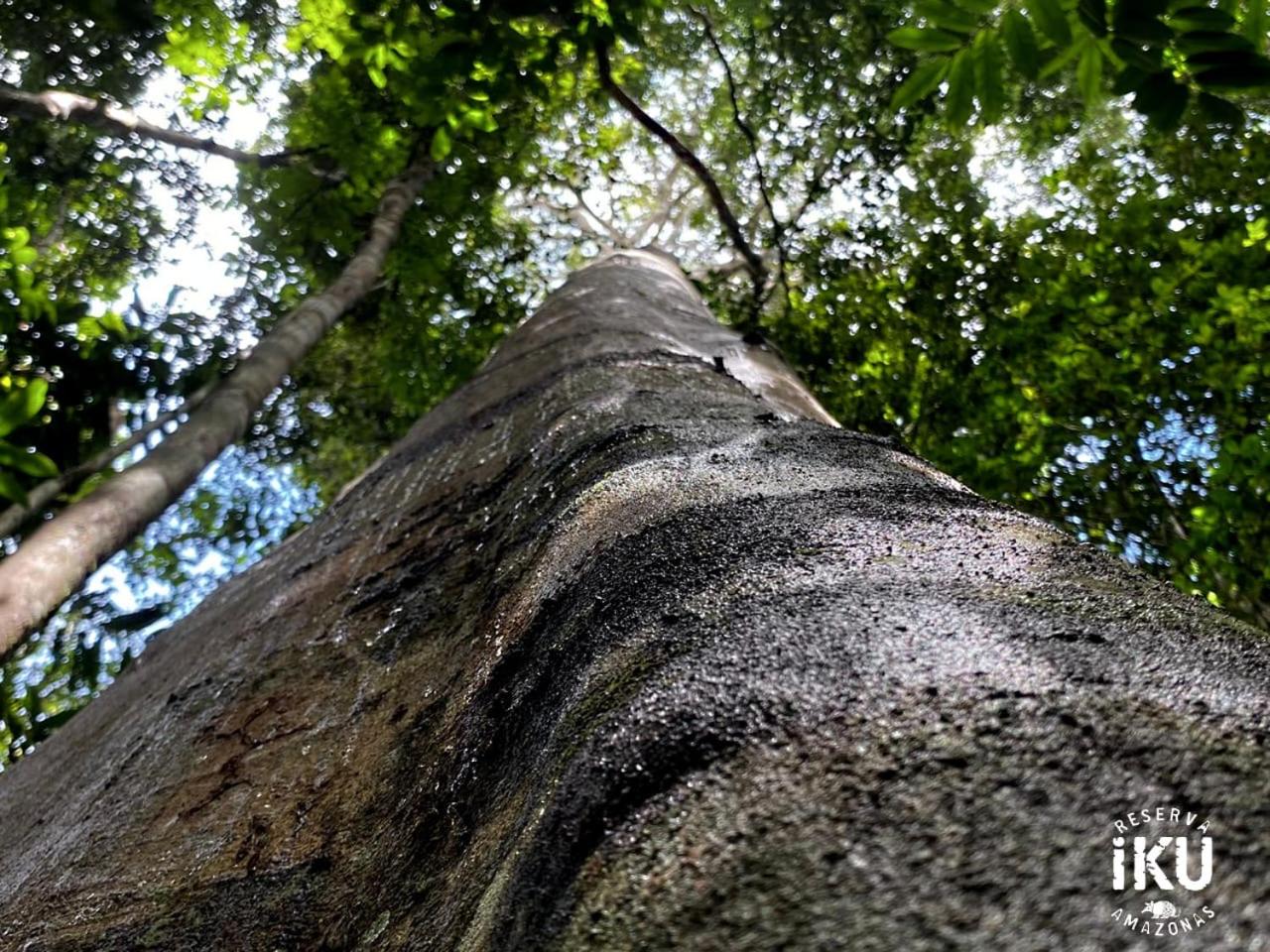 Reserva Îkü Amazonas