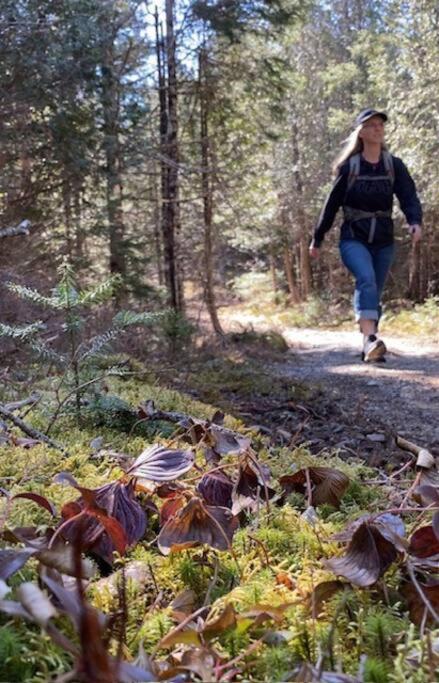 The Hideaway Cottage with Private trails
