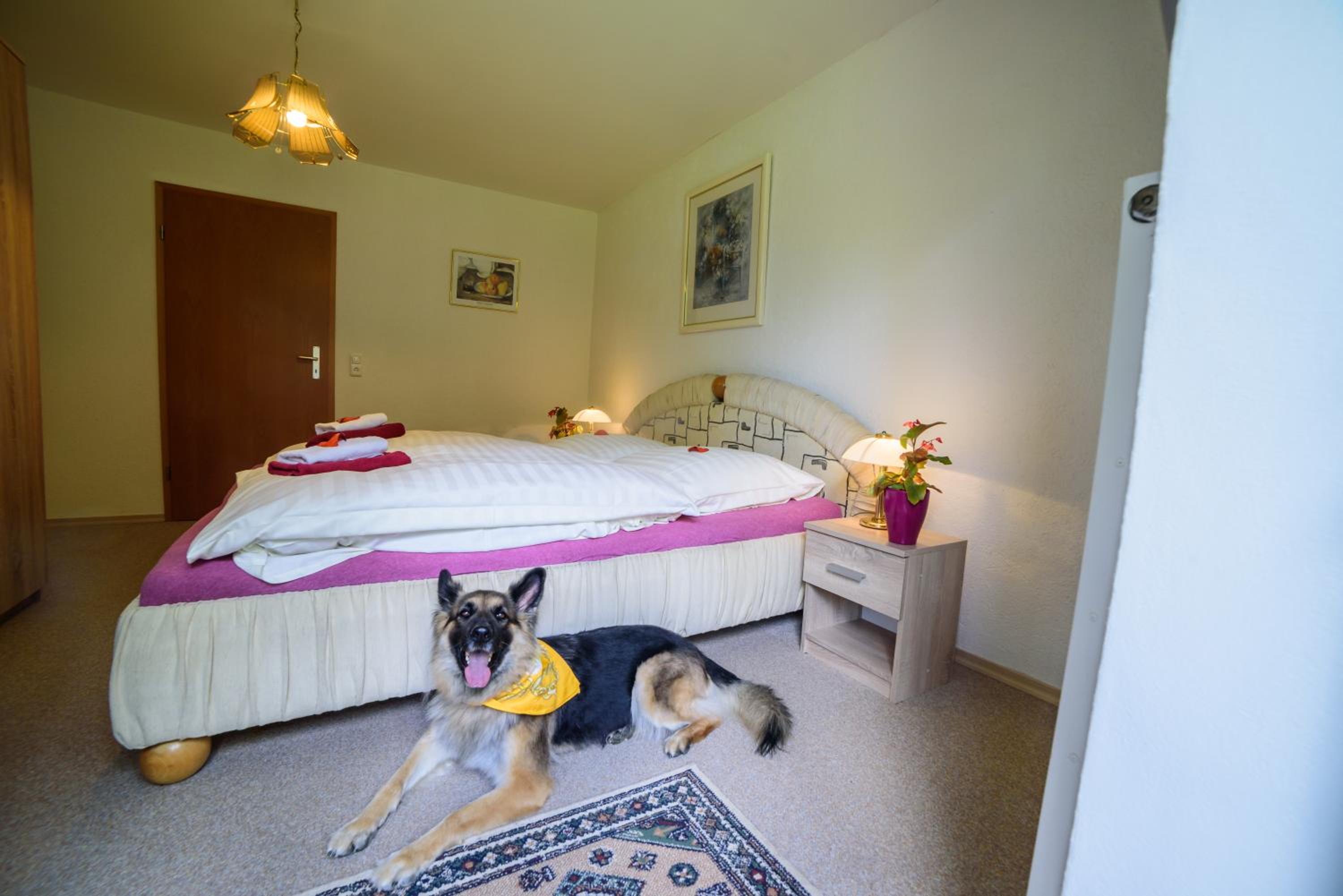 Pension Arberwald