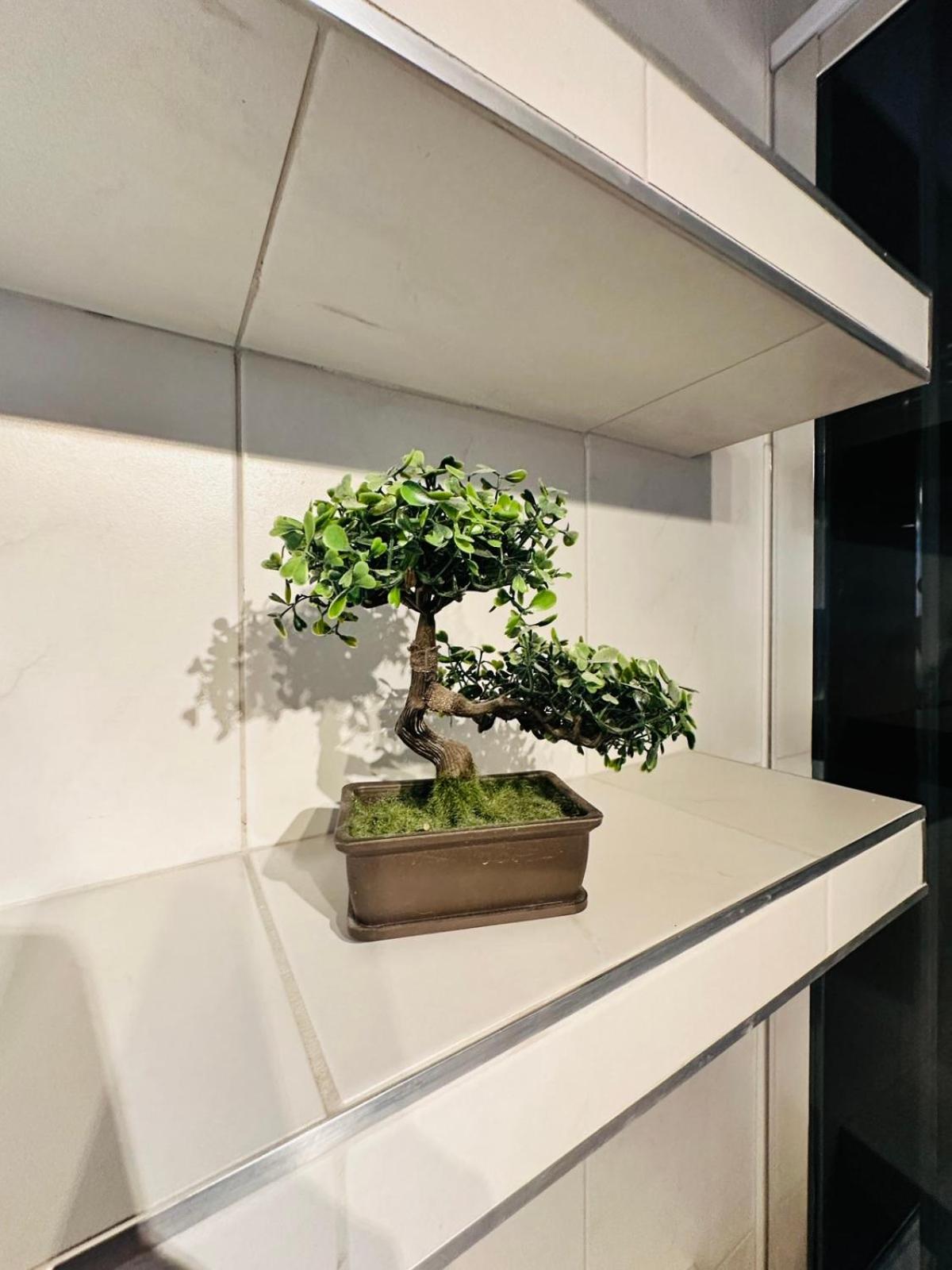 Apartman Noor view 5