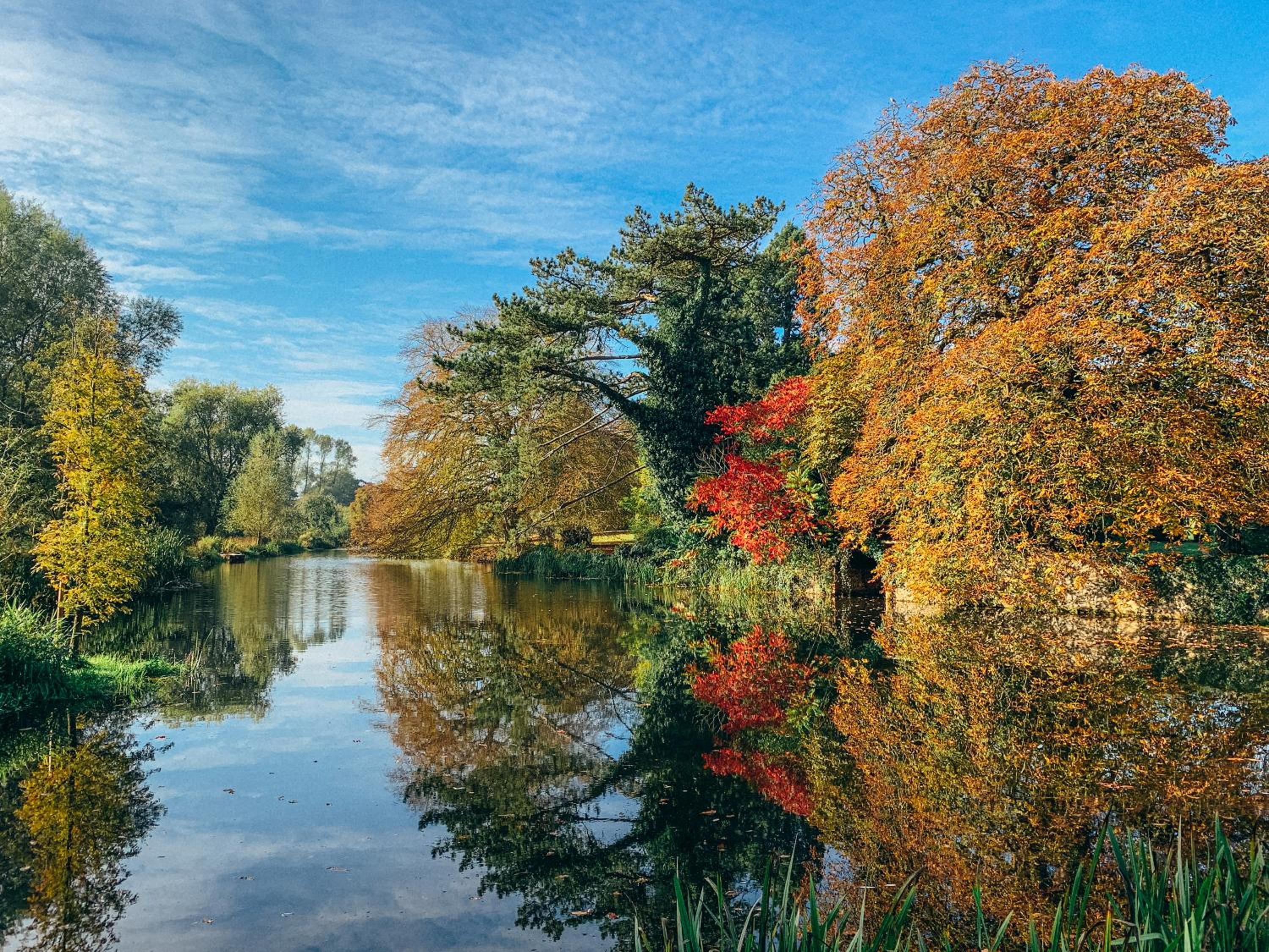 Kings Lynn Vacations - West Lexham - Property Image 5