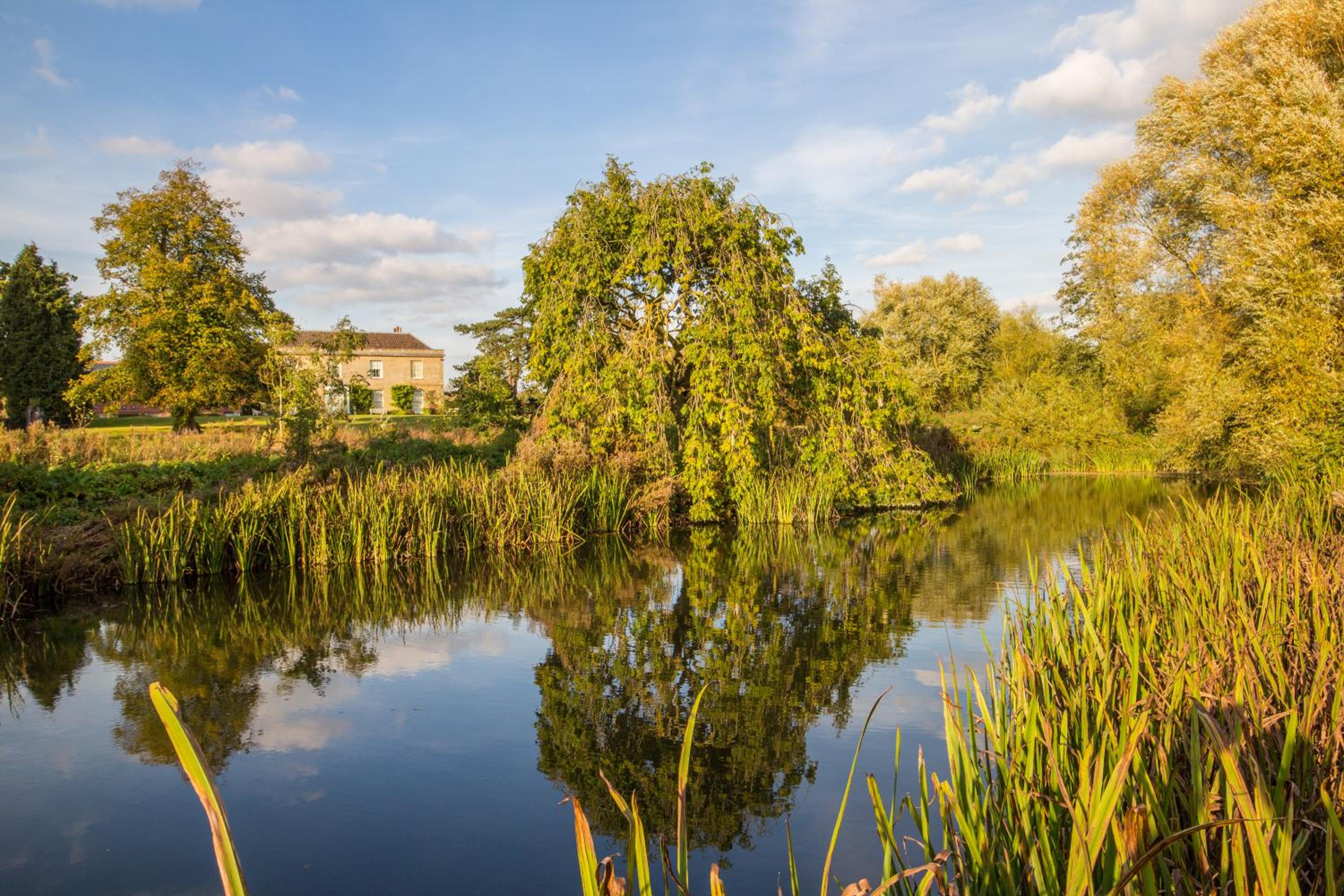 Kings Lynn Vacations - West Lexham - Property Image 4