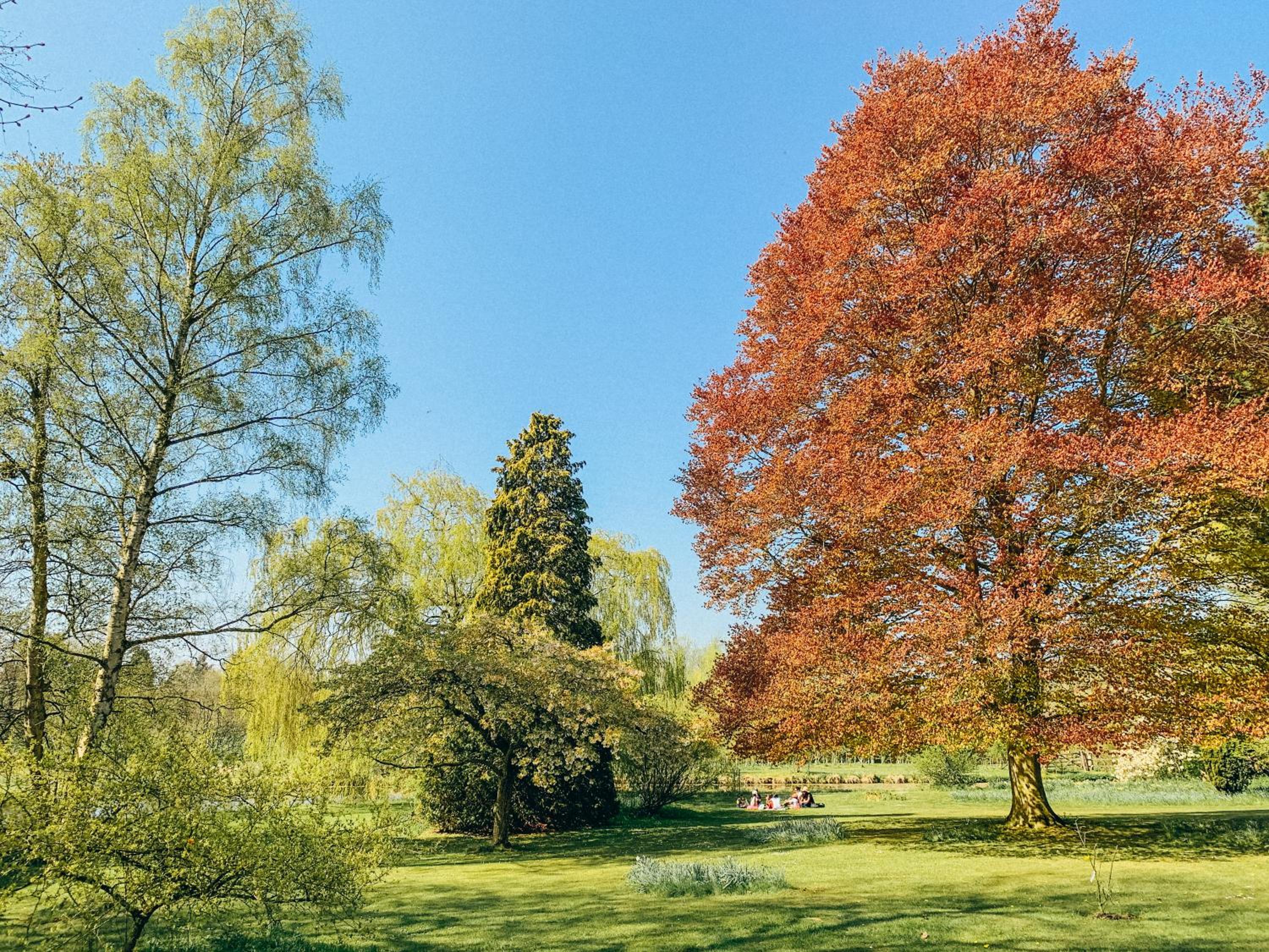 Kings Lynn Vacations - West Lexham - Property Image 3