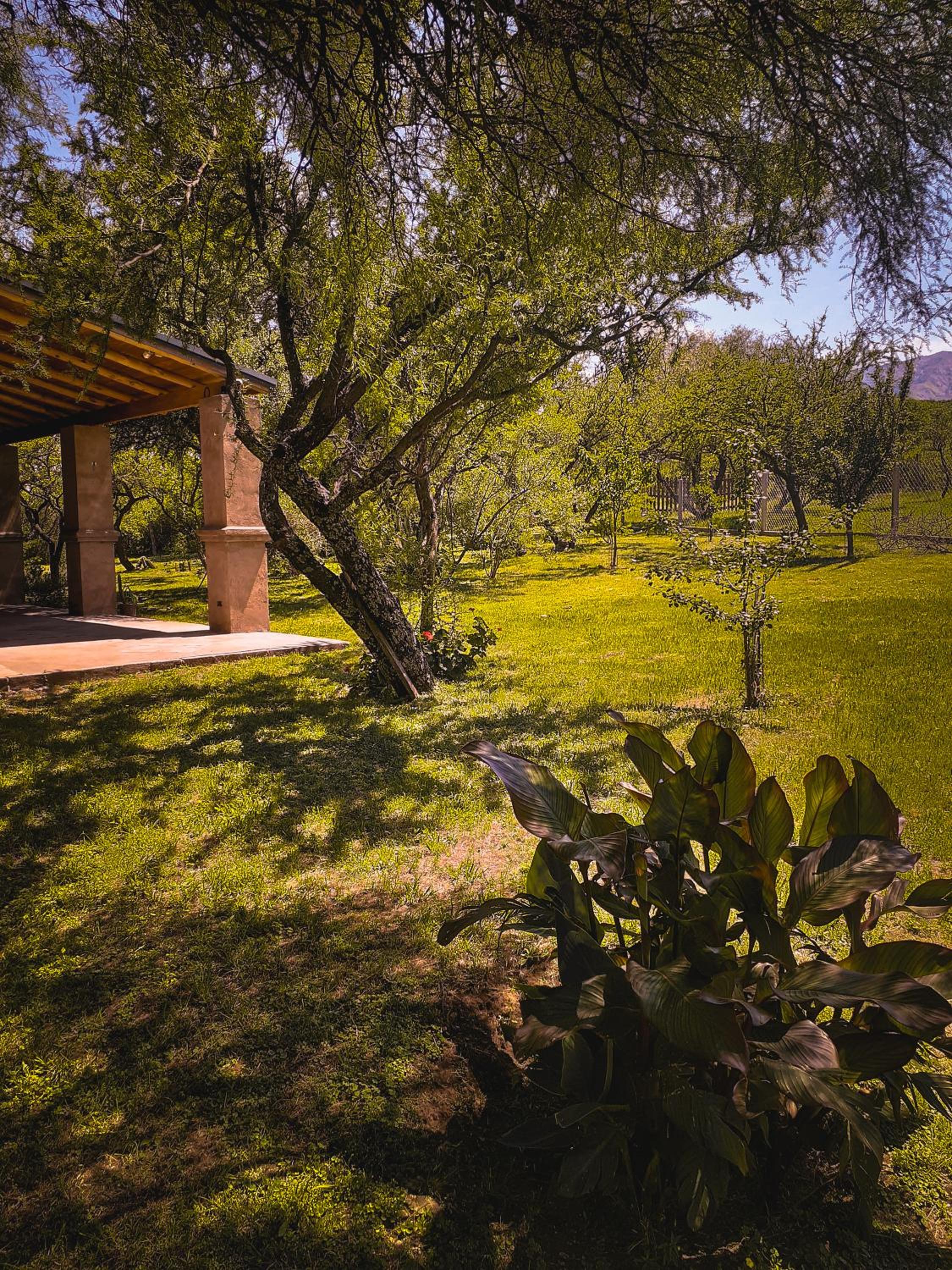 La Casona, Carpintería