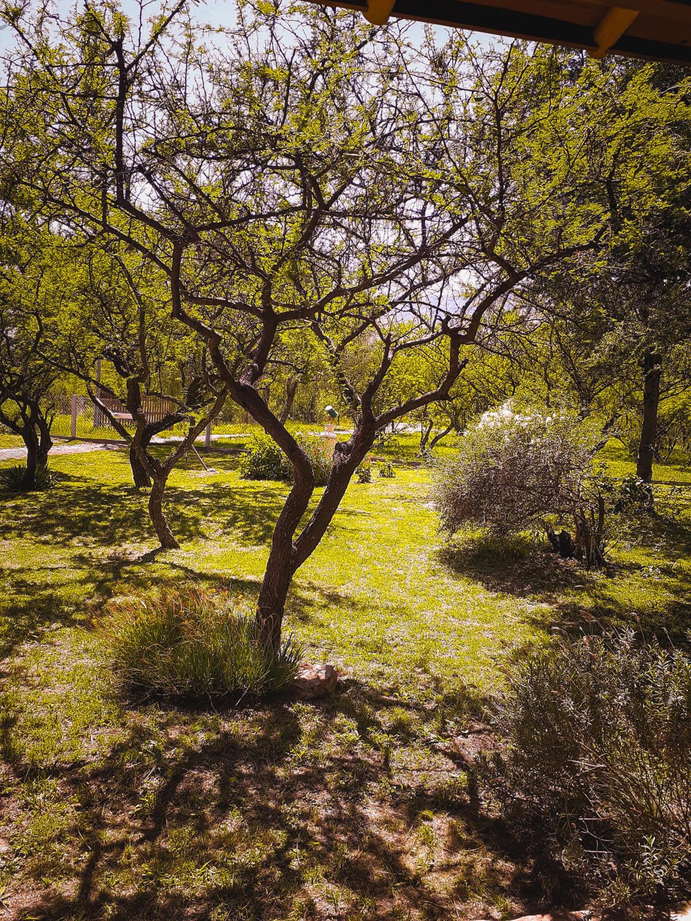 La Casona, Carpintería
