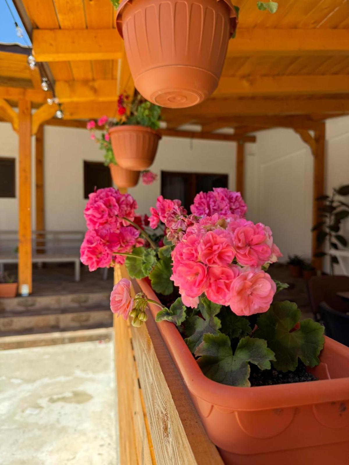 Casa Selina view 3