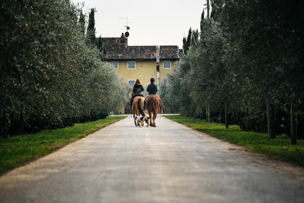 Dimora Buglioni Wine Relais, photo 27