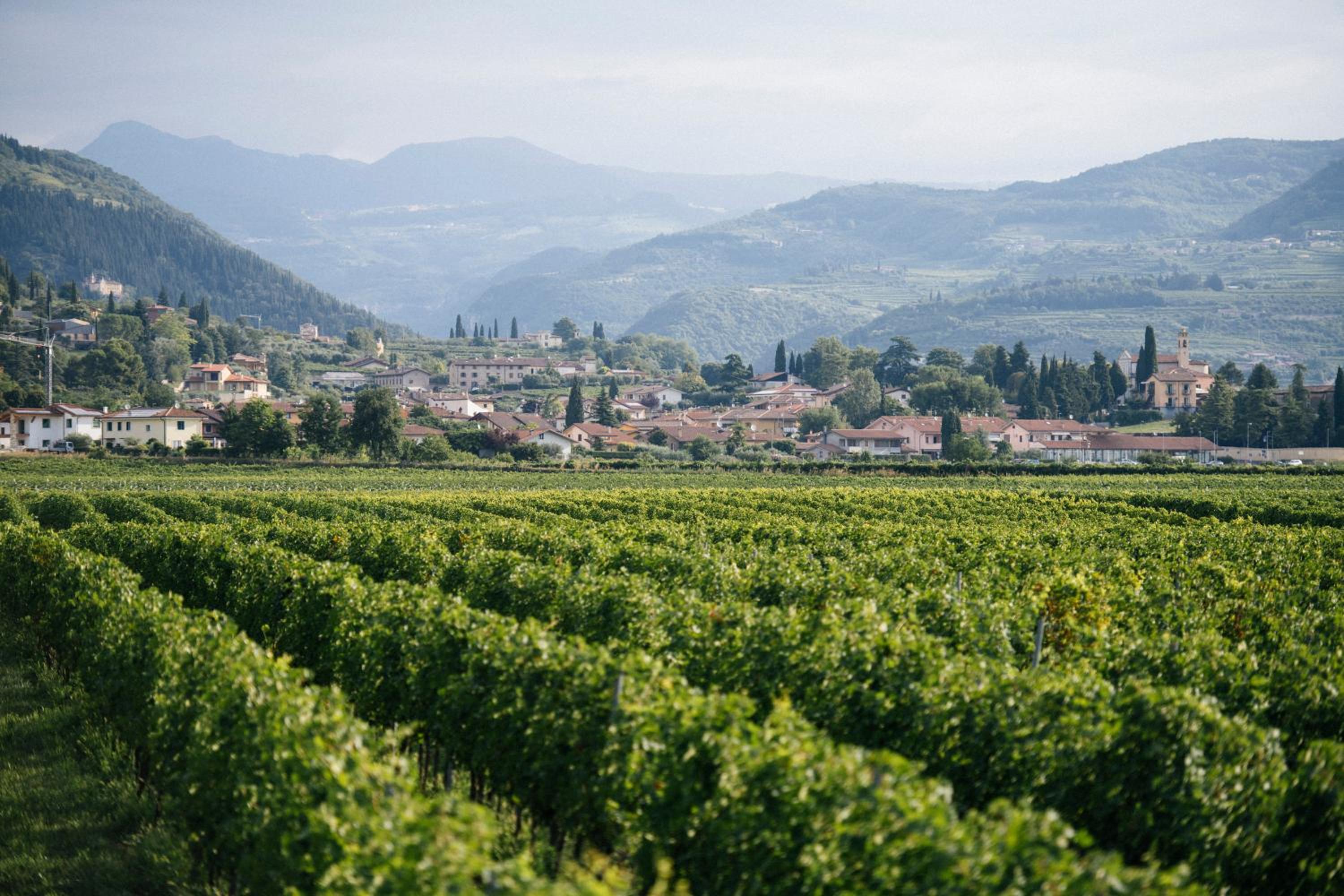 Dimora Buglioni Wine Relais, photo 88