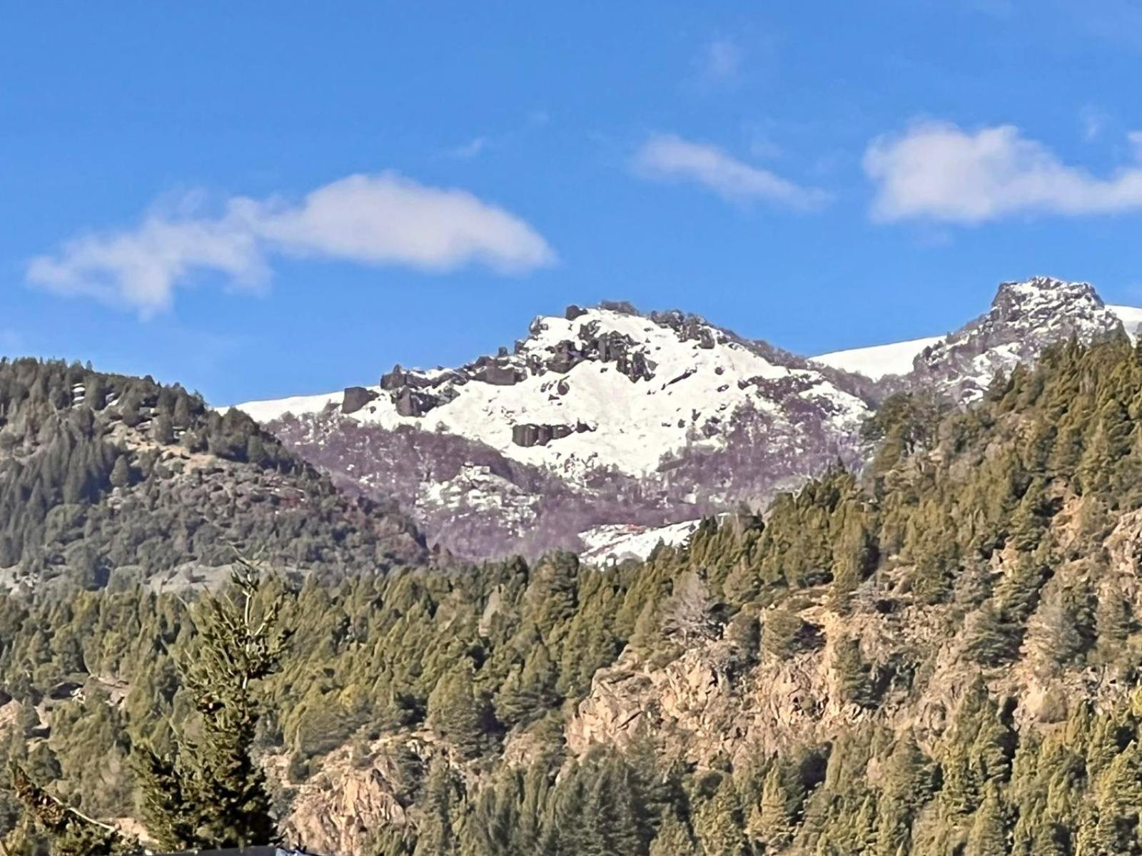 Aloha pinot Patagonia