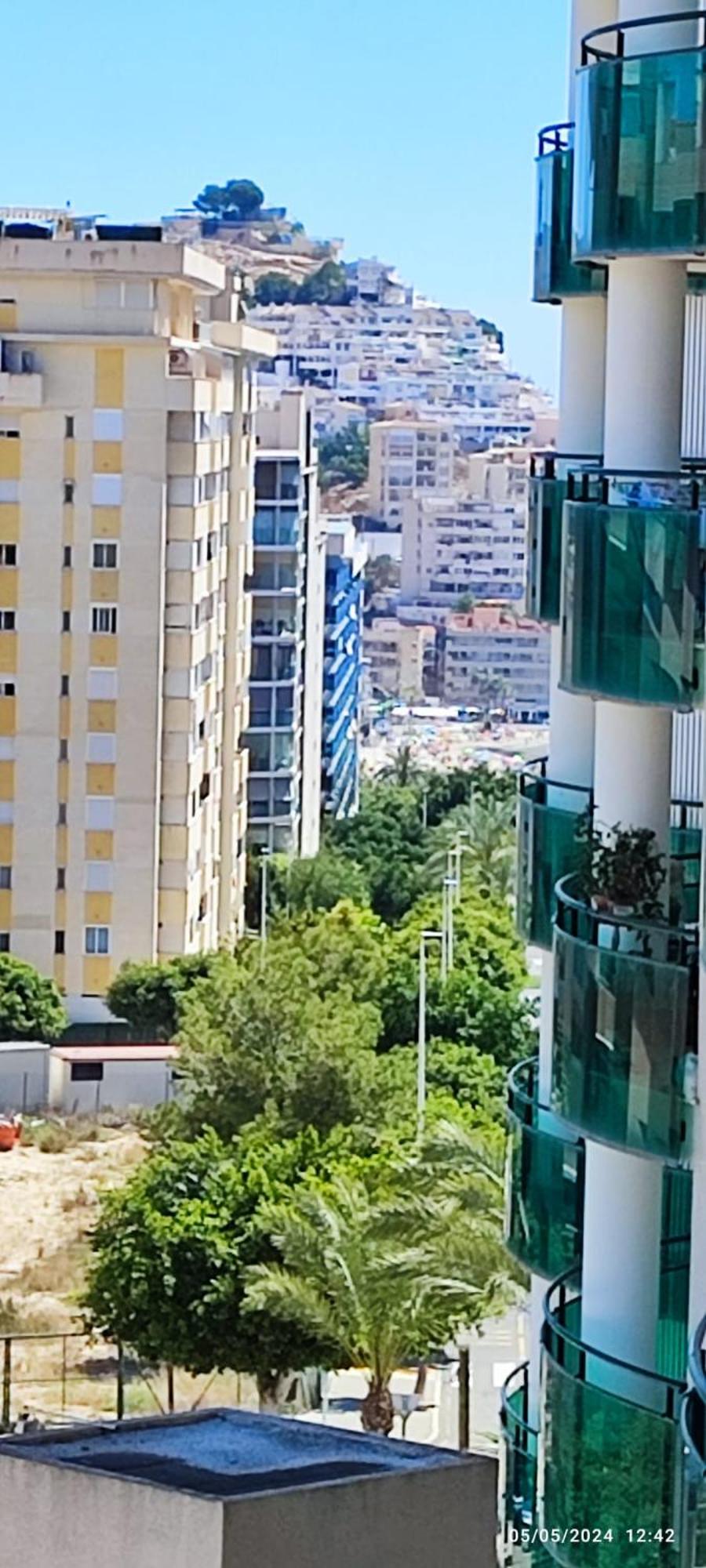 Diora Vila Park Apartment