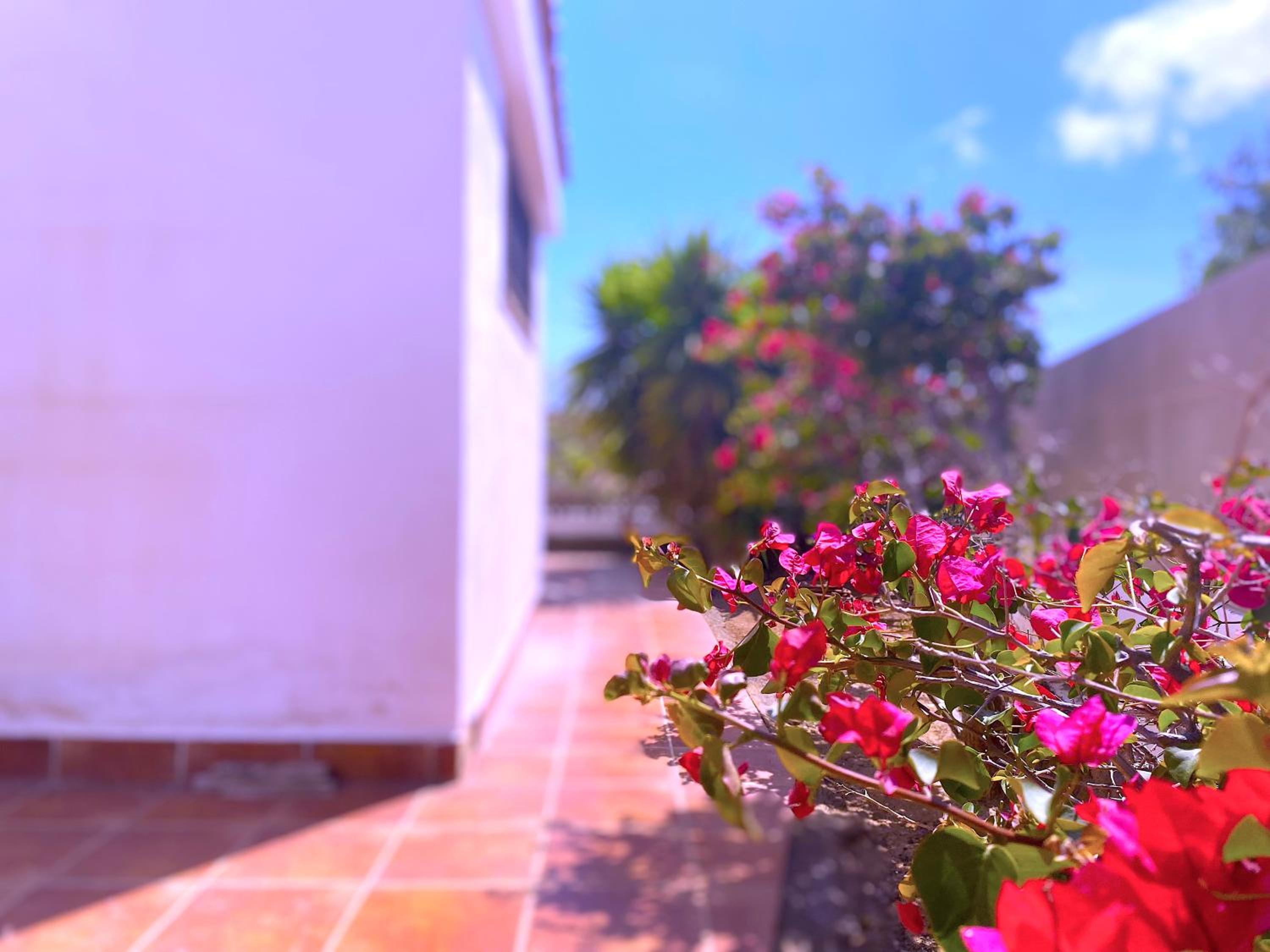 Tropicalidays Atlantic Hideaway Costa del Silencio