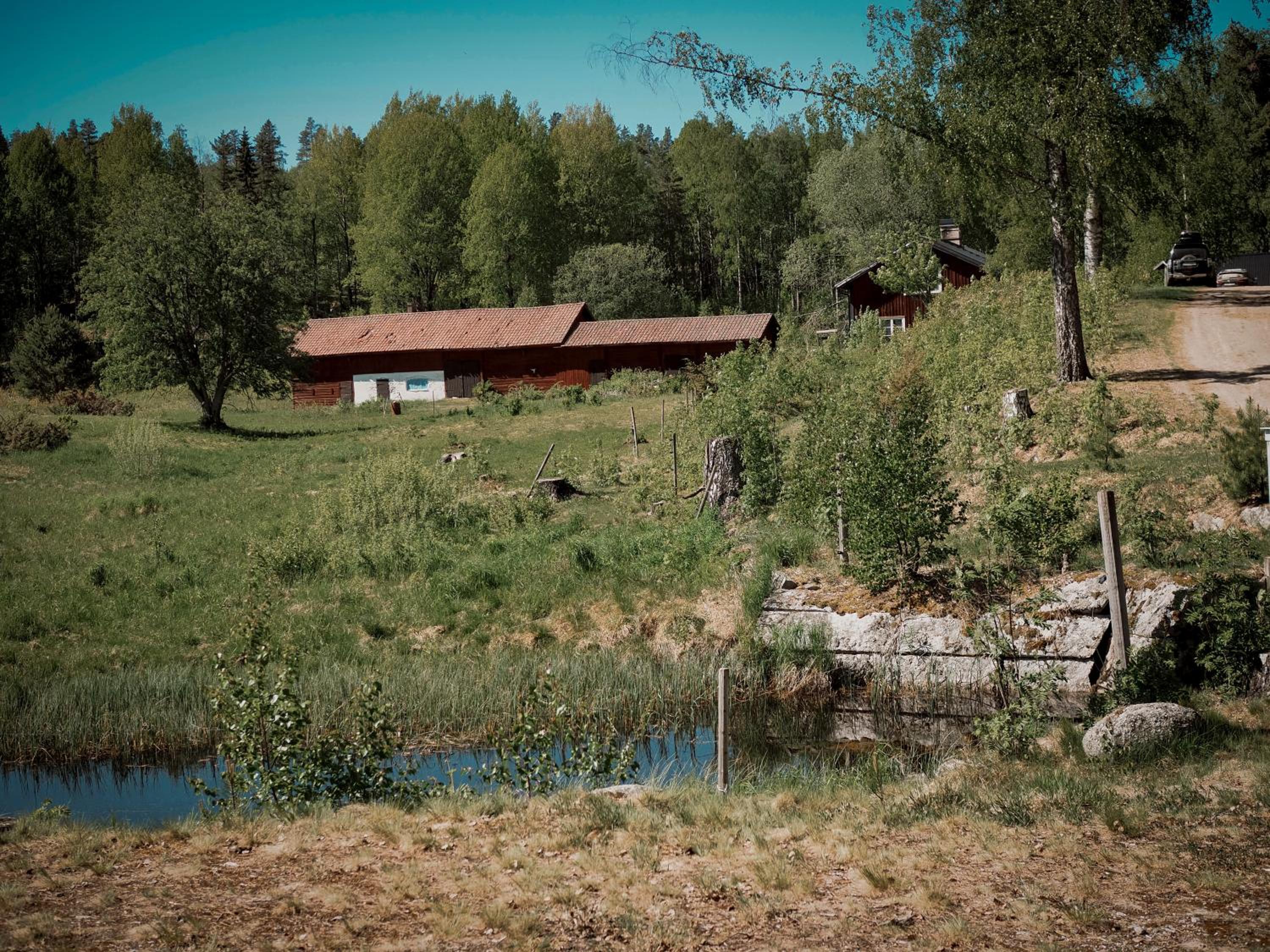 Photo 35