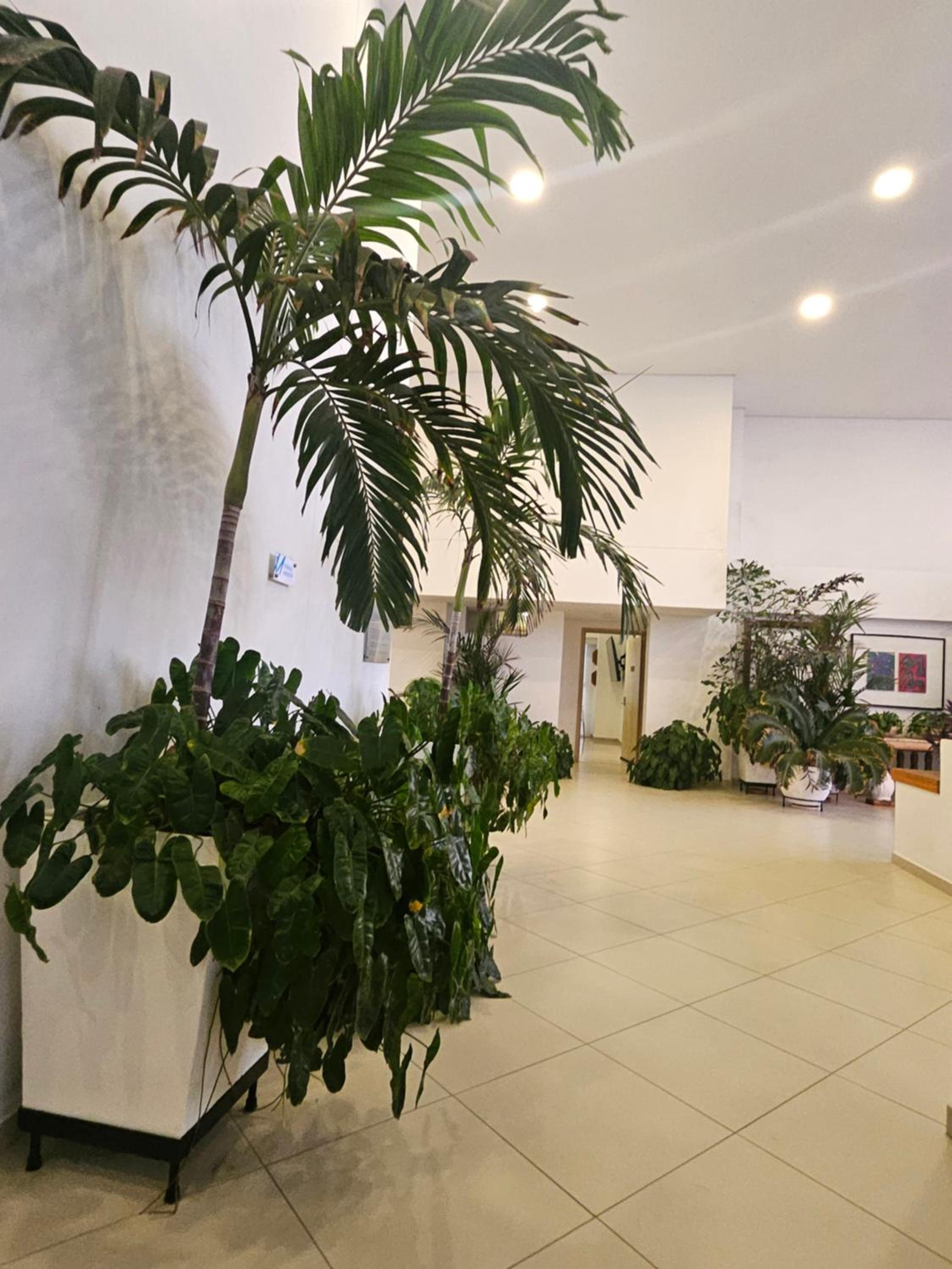 Duplex de Lujo nuevo con vista increible al centro y la playa