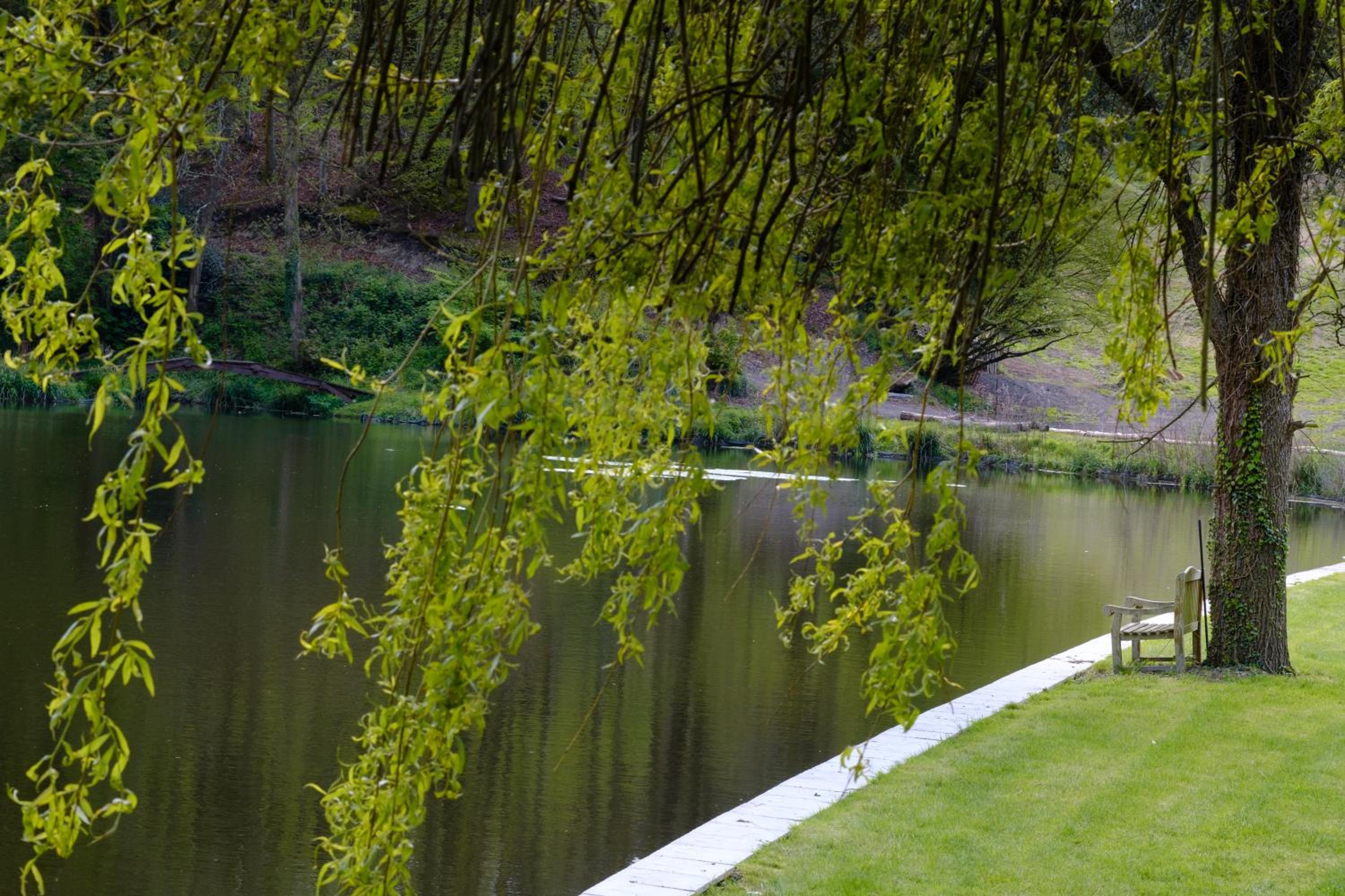 Devizes Vacations - Inviting 5-Bed House with fishing lake in Devizes - Property Image 24