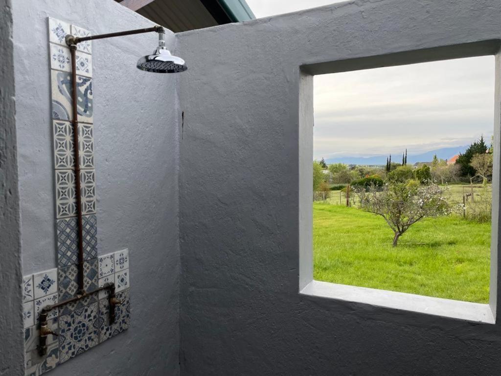 Abundance in Riebeek