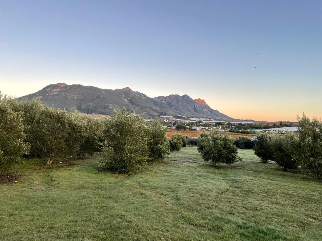 Abundance in Riebeek