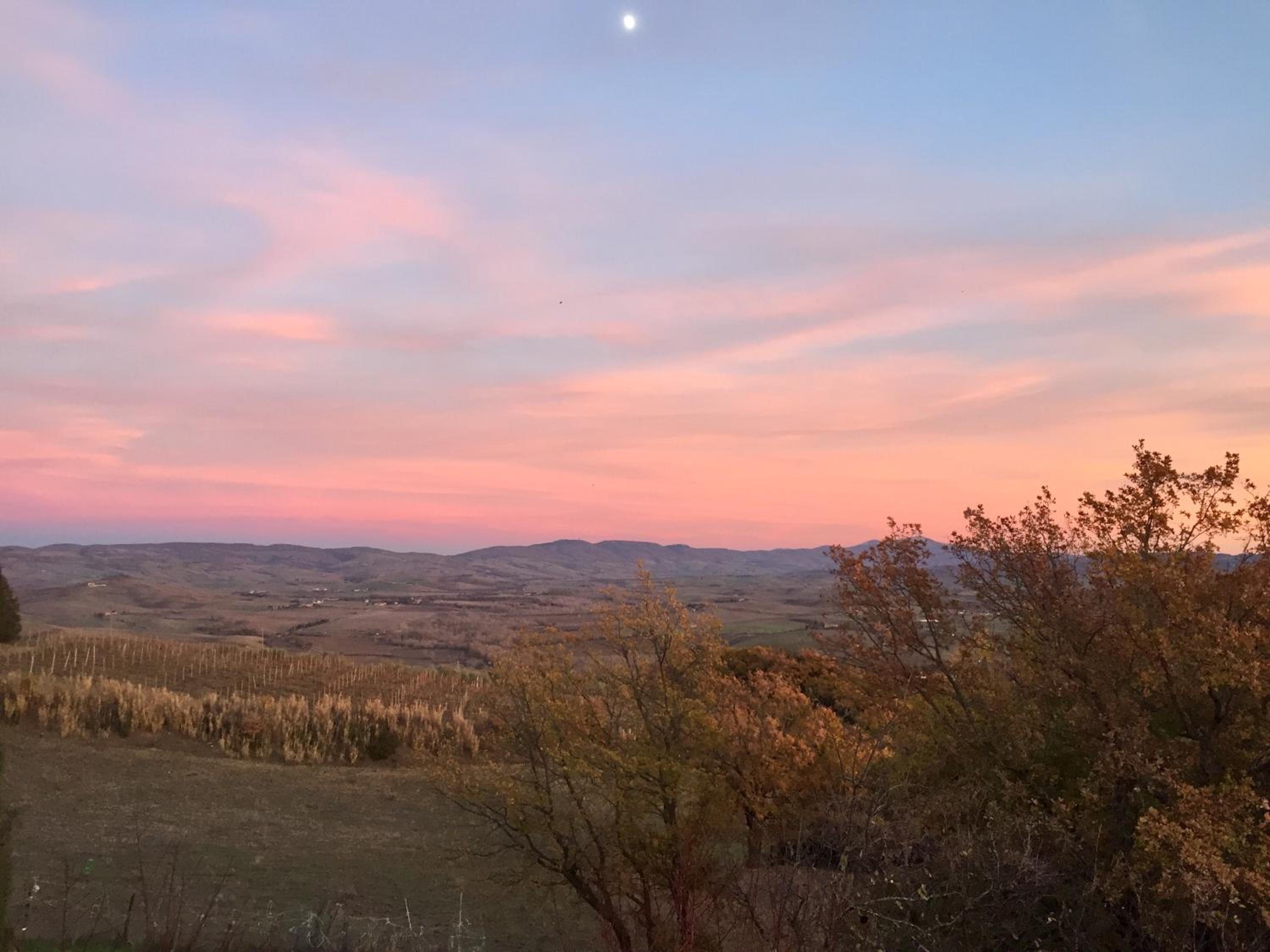 Agriturismo Le Querciole in Val d'Orcia