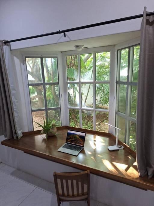 Estudio en el corazon de Cancun