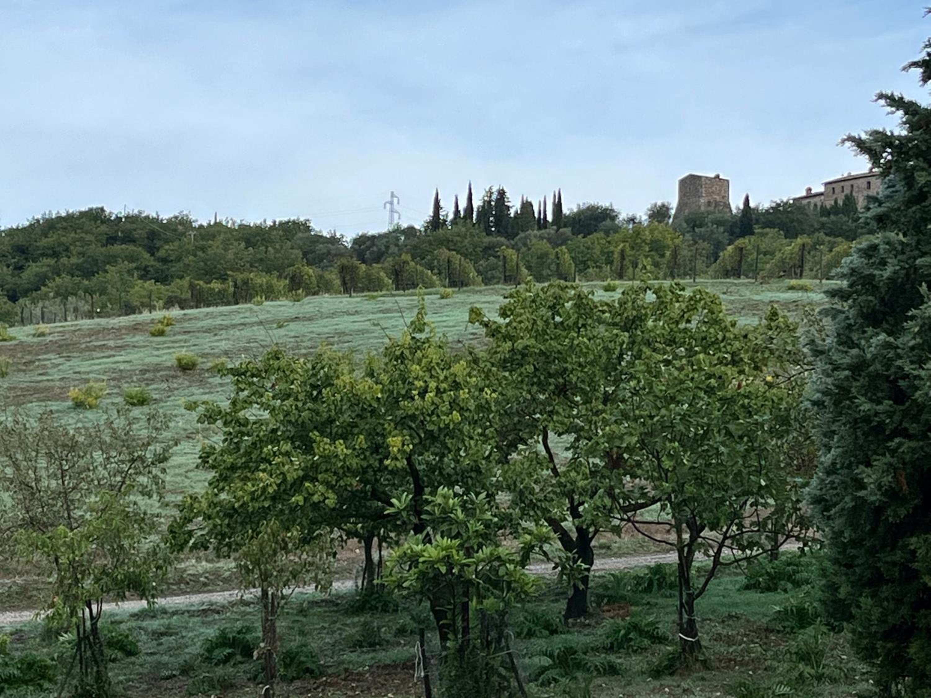 Agriturismo Le Querciole in Val d'Orcia
