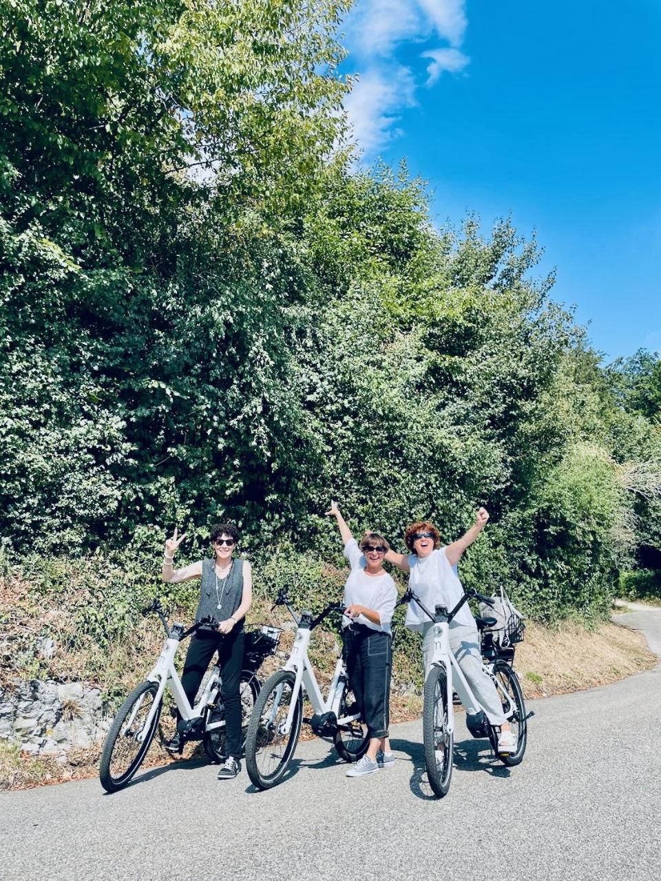 Bed Bike and Breakfast Olten