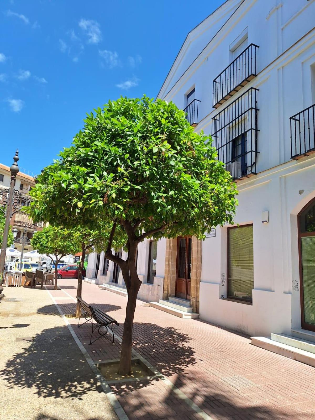 Cabildo Plaza 1 Sanlúcar de Barrameda view 3