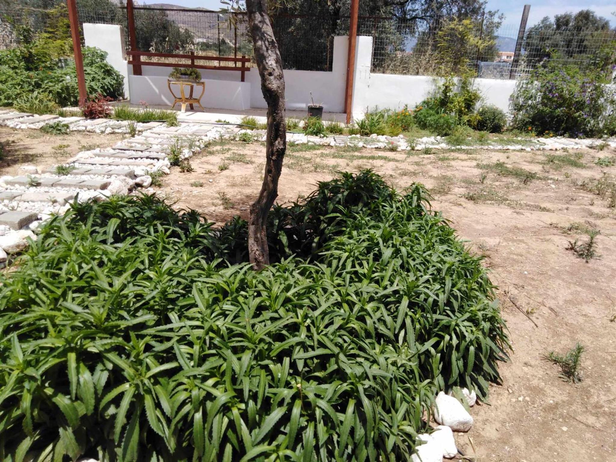 Alexadra's house Κάτω Αλμυρή