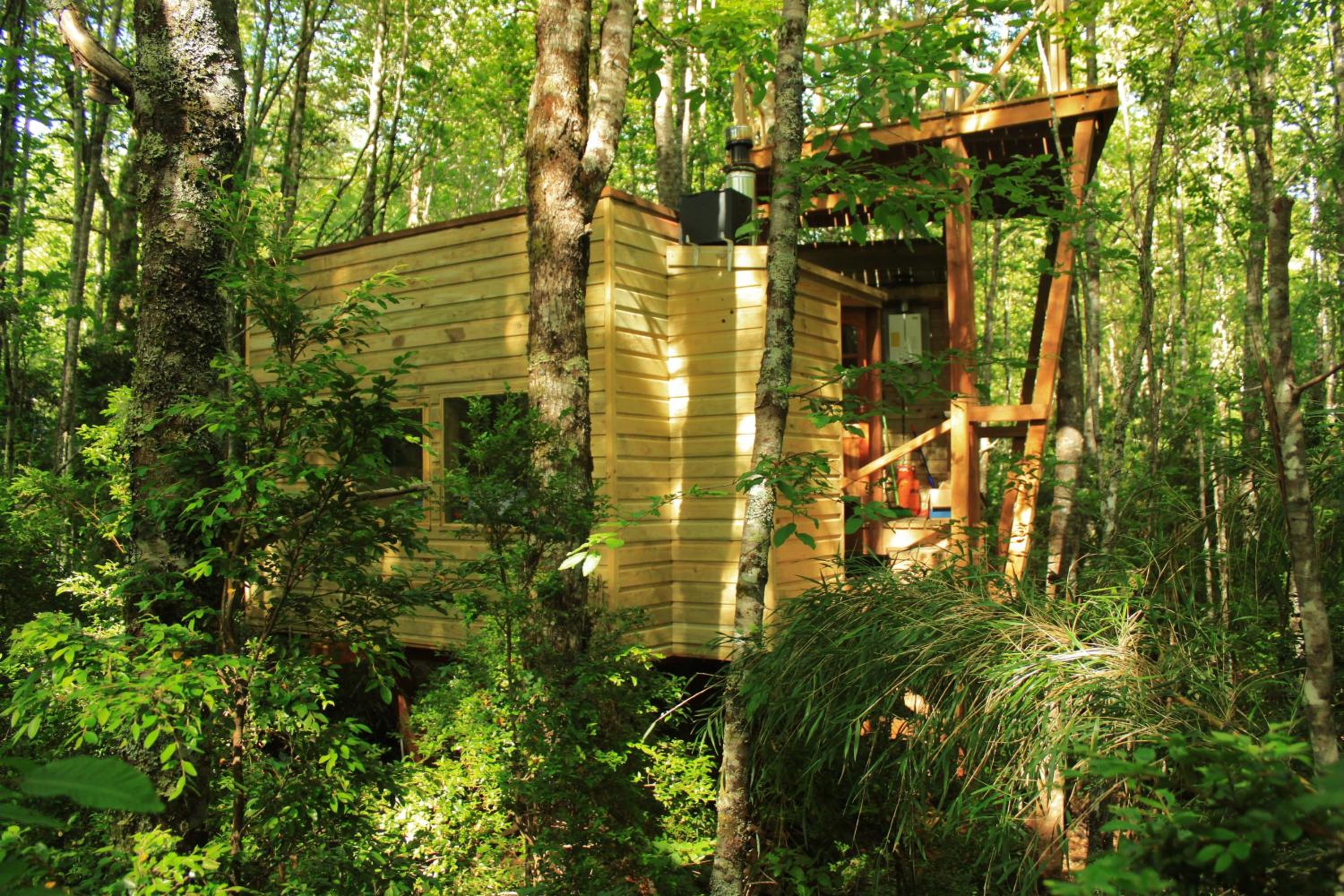 Casita Arbol