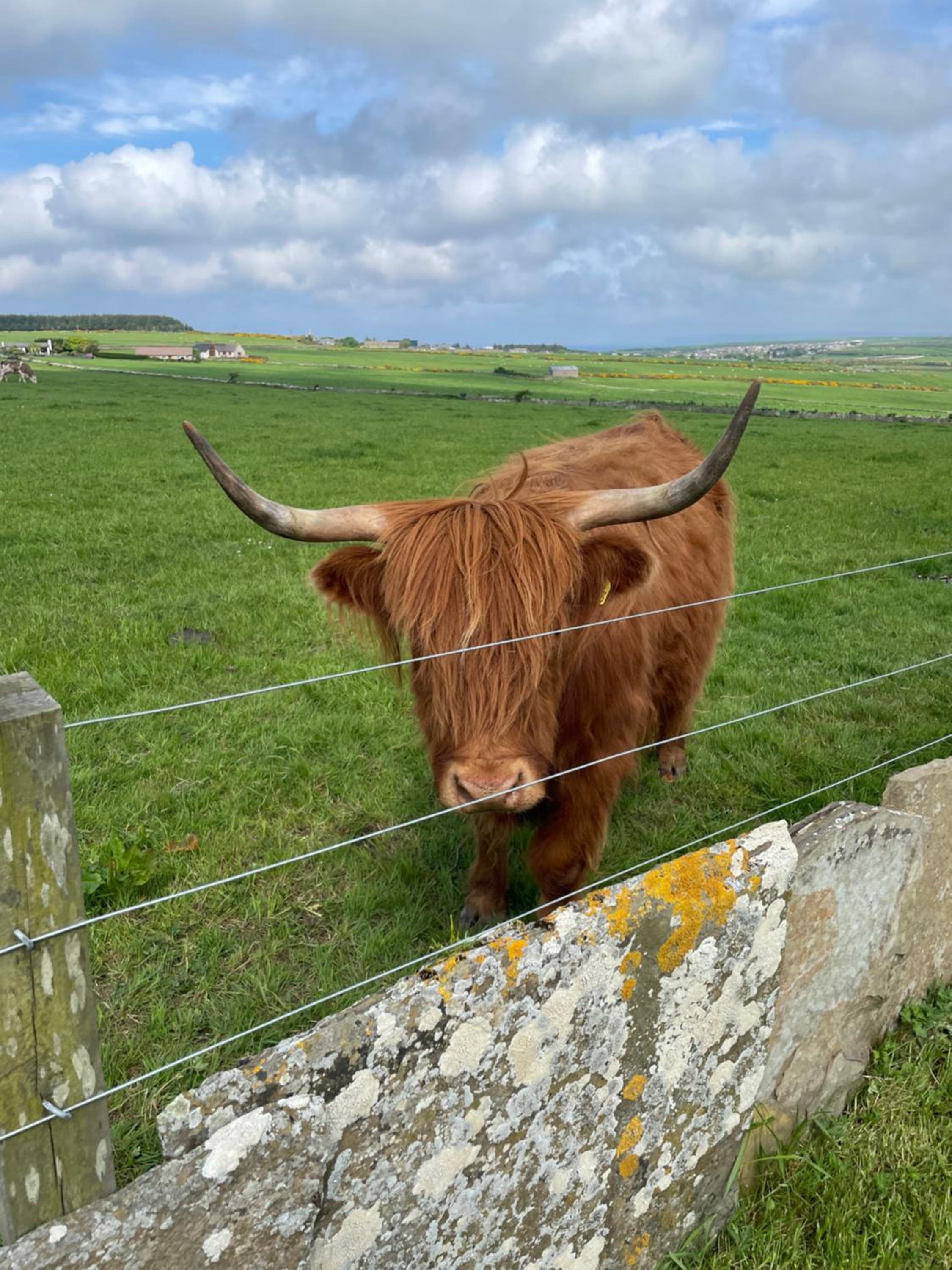 Glengolly Getaways