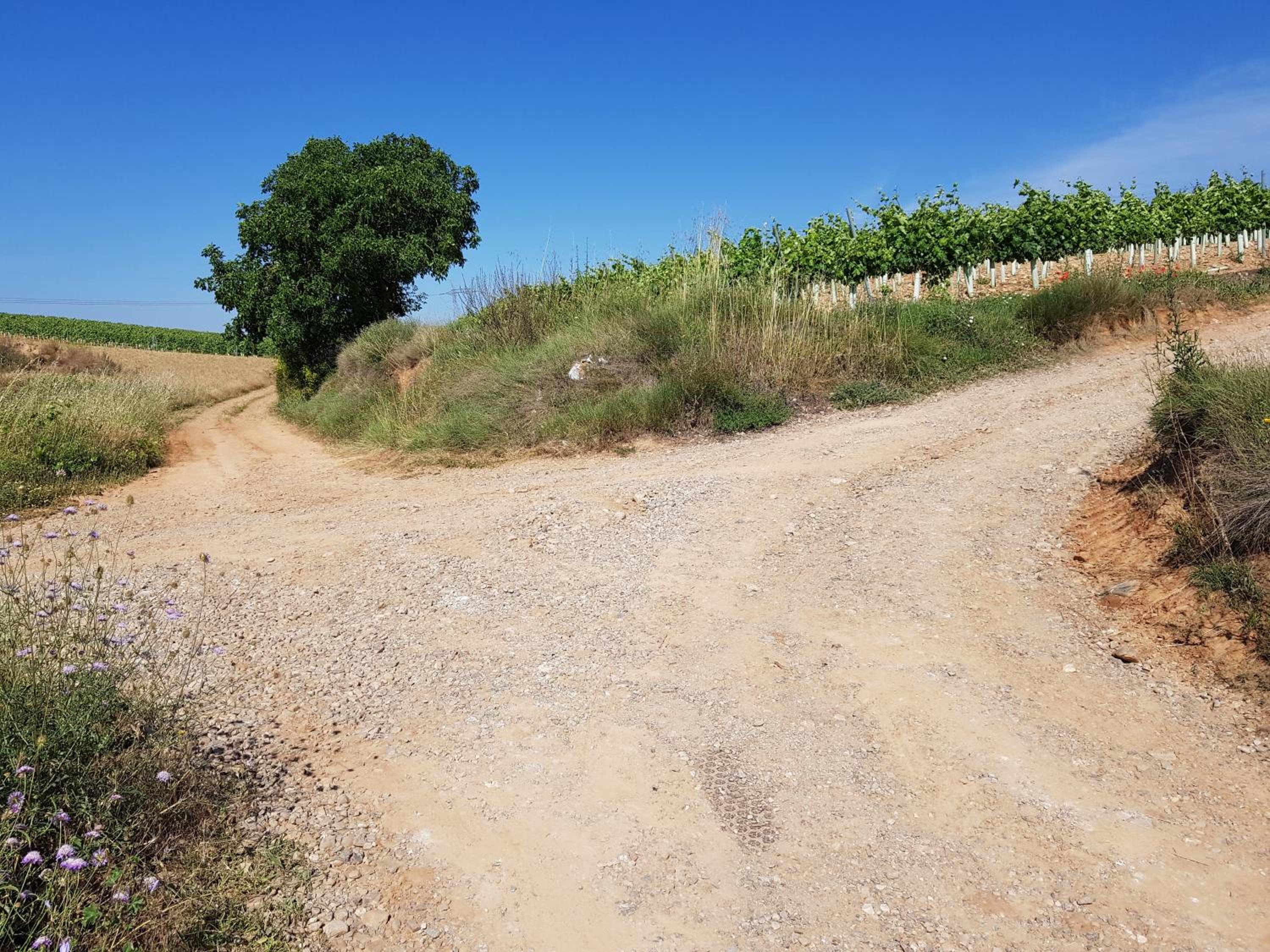 Casa Rural Los Carros