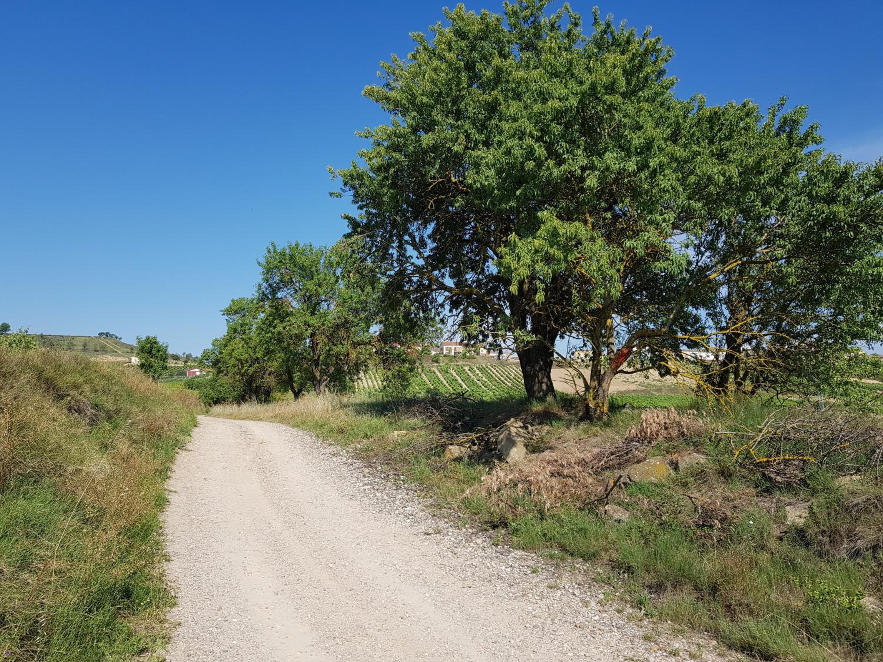 Casa Rural Los Carros