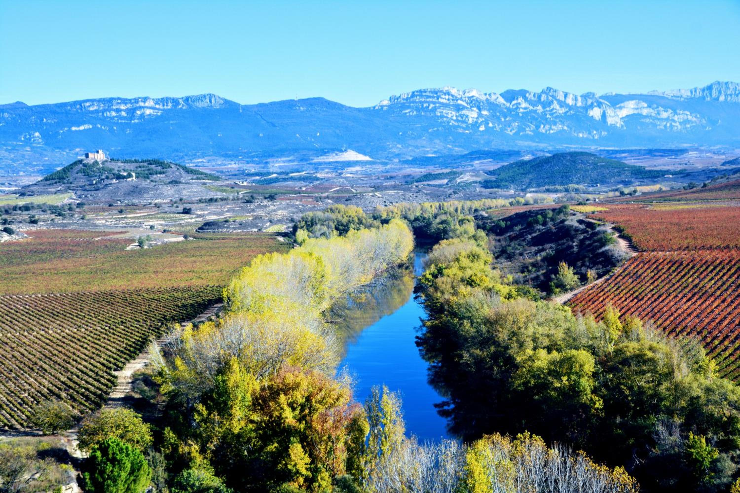 Casa Rural Los Carros