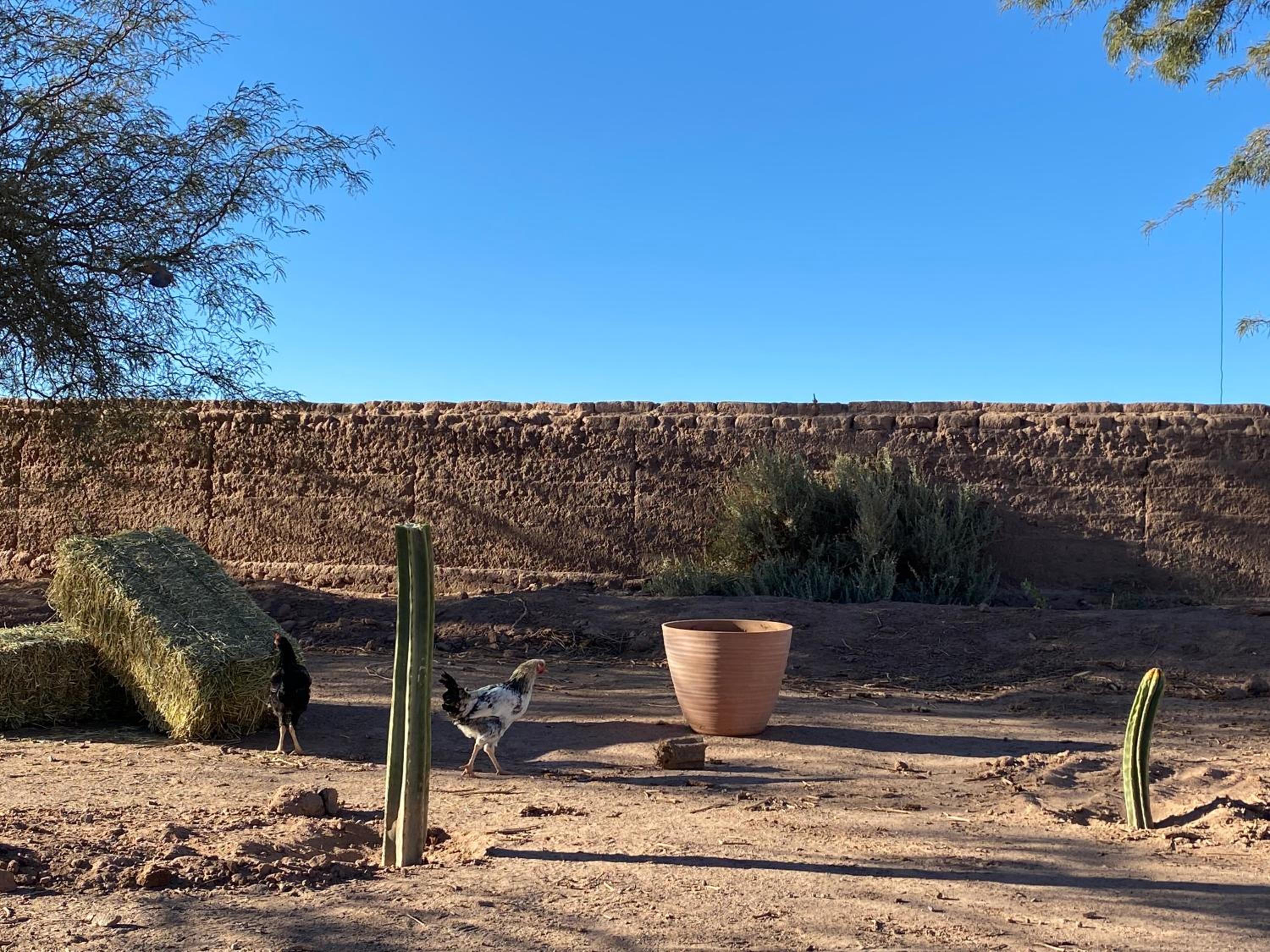 Photo 53